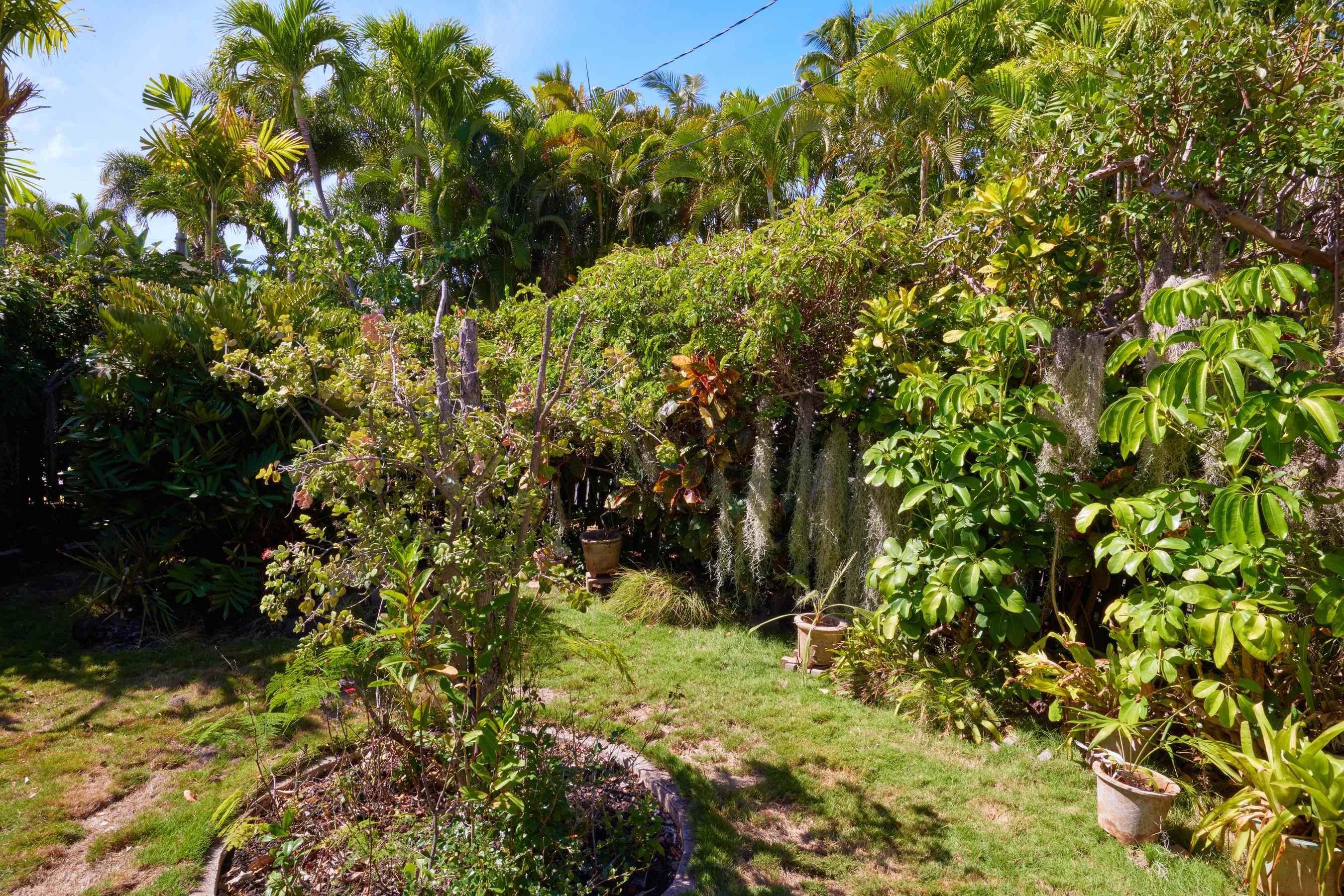 1073  Front St Lahaina, Lahaina home - photo 27 of 30