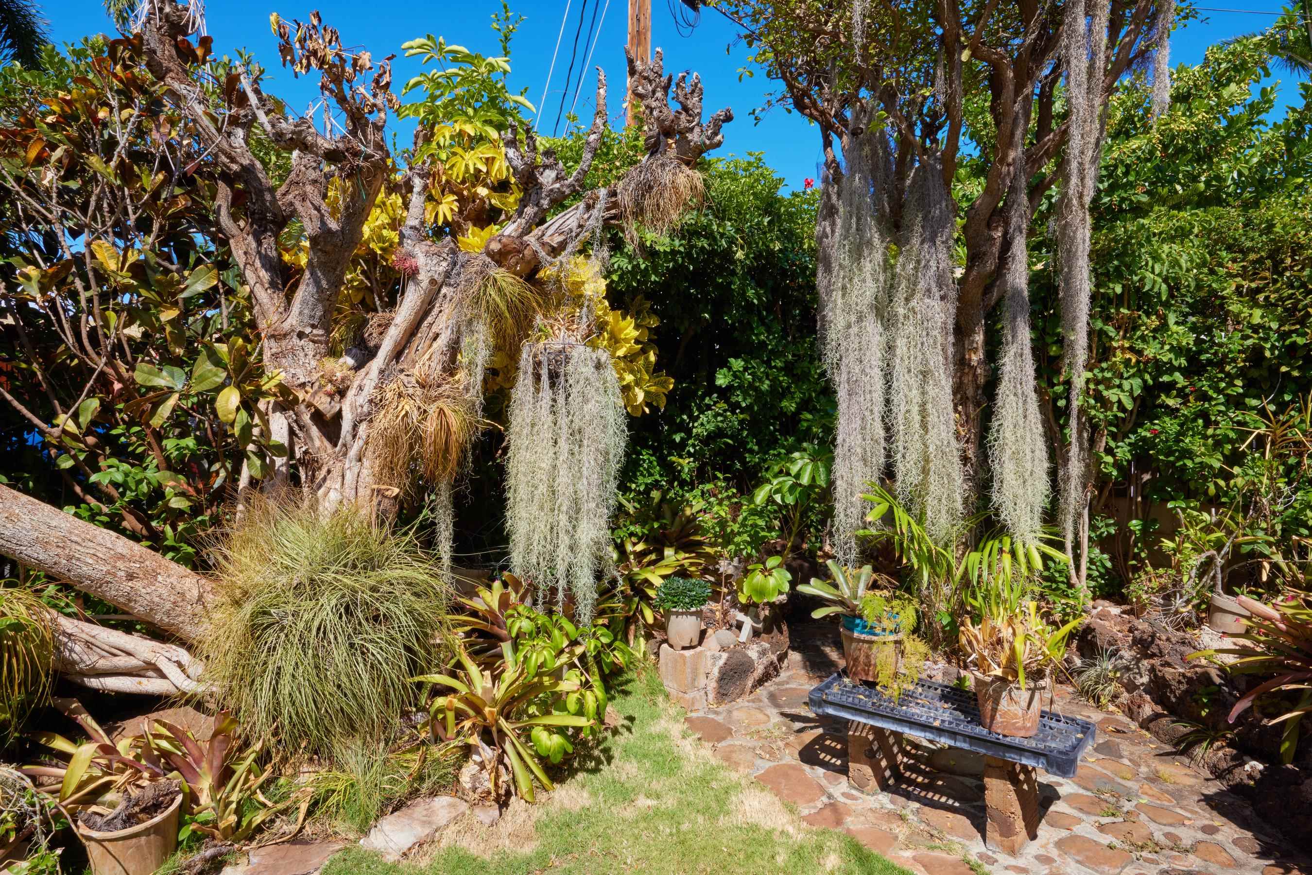 1073  Front St Lahaina, Lahaina home - photo 28 of 30