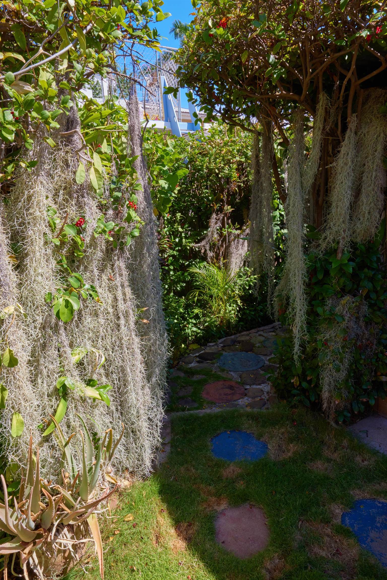 1073  Front St Lahaina, Lahaina home - photo 30 of 30