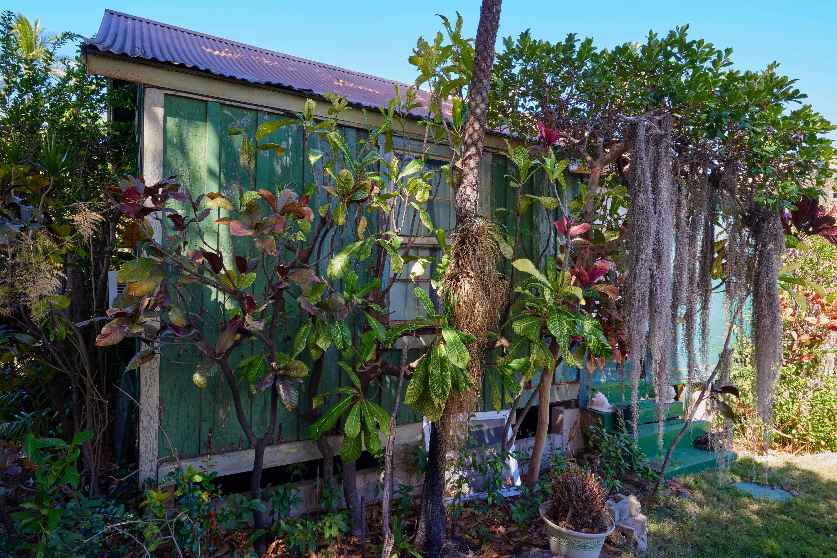 1073  Front St Lahaina, Lahaina home - photo 9 of 30