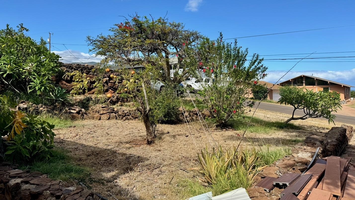 1085  Nauwe St , Molokai home - photo 33 of 42