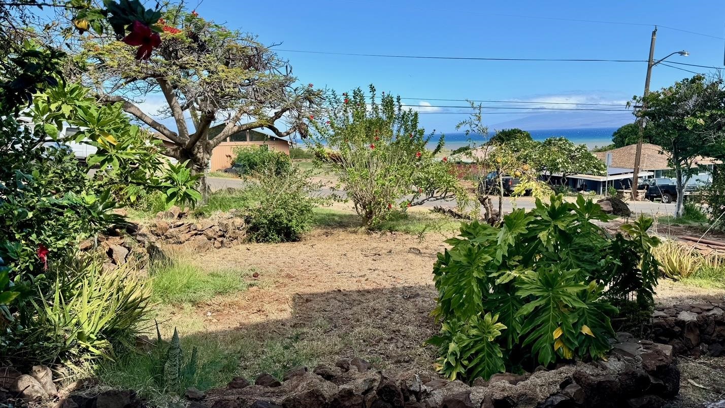 1085  Nauwe St , Molokai home - photo 36 of 42