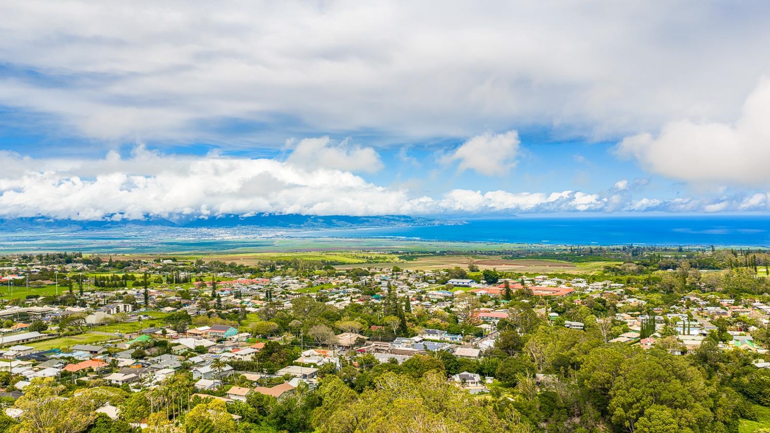 1088  Mamalu Pl , Makawao/Olinda/Haliimaile home - photo 47 of 50