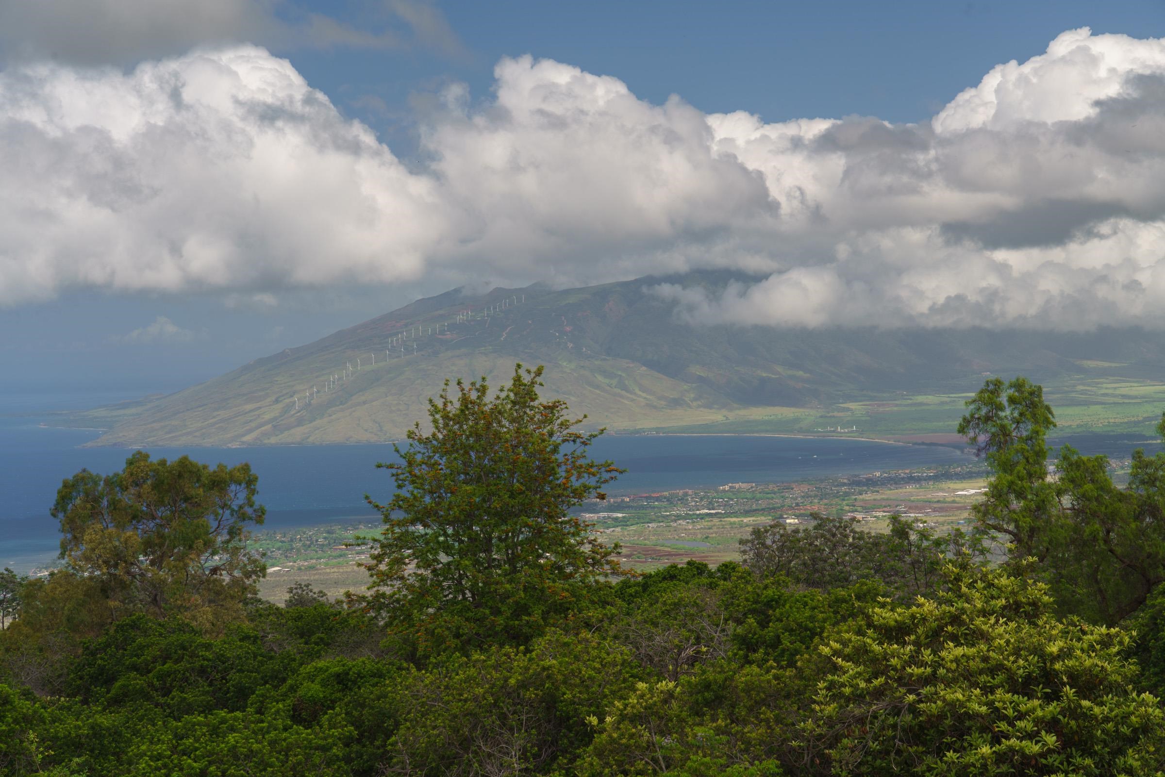 10898  Kula Hwy Keokea, Kula/Ulupalakua/Kanaio home - photo 4 of 50