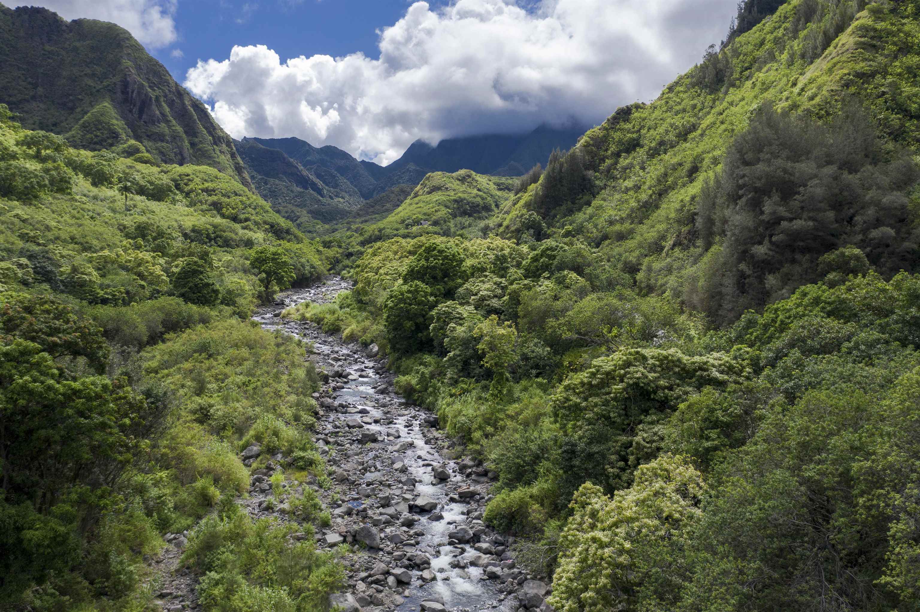 Kamani at Kehalani condo # 23, Wailuku, Hawaii - photo 24 of 24
