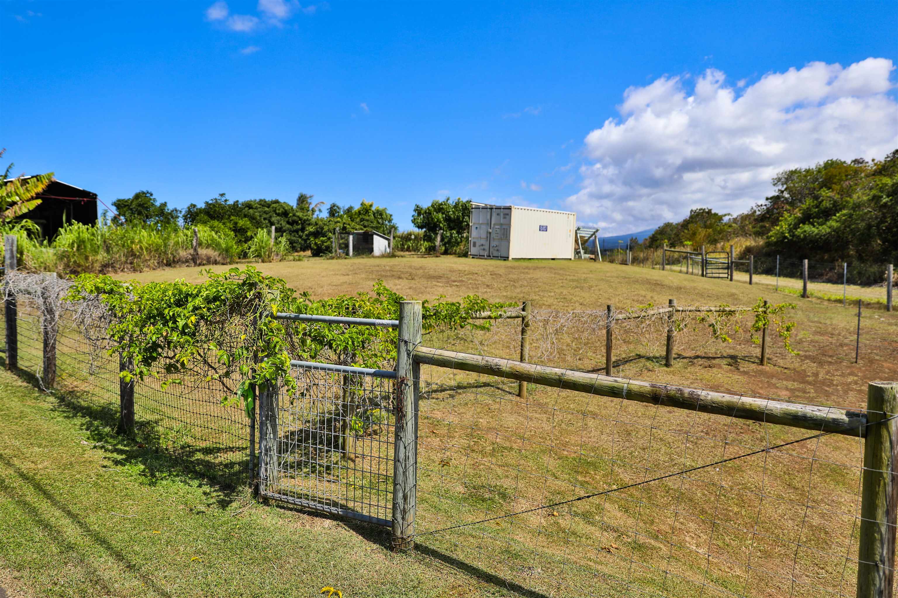 109  Kulolio St , Haiku home - photo 43 of 46