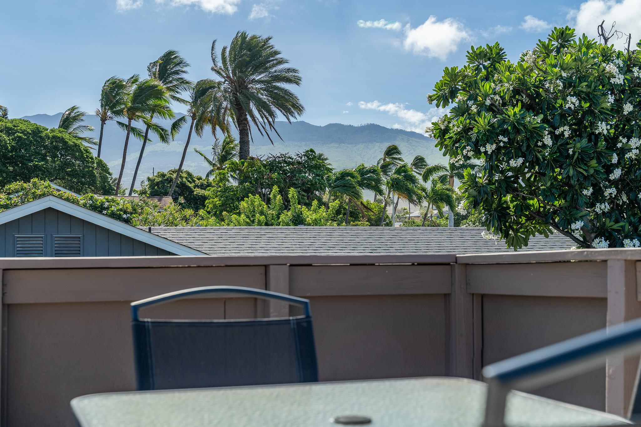109  Miha Pl , Kihei home - photo 42 of 50