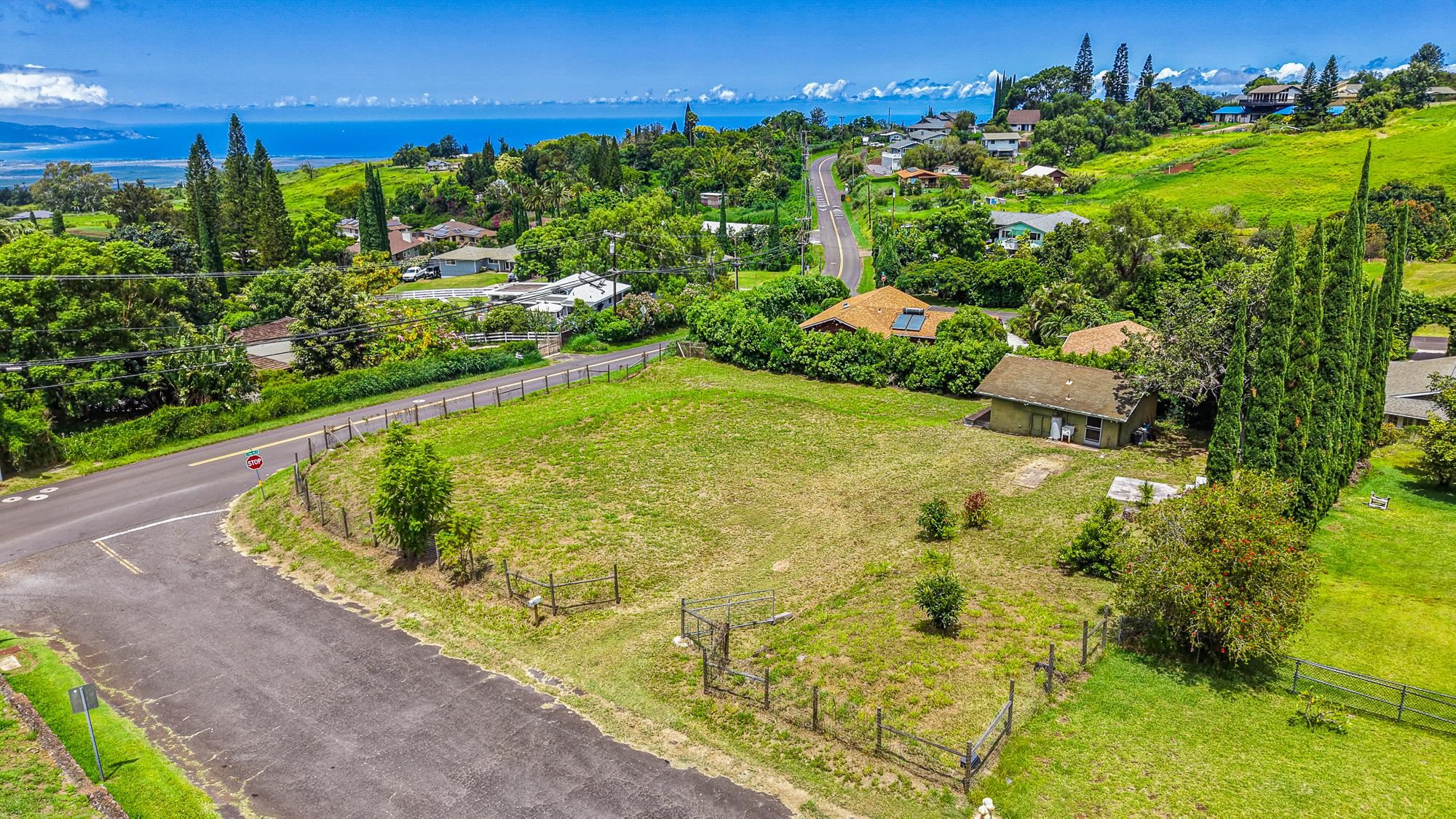 11  Akea Pl Lower Kula, Kula/Ulupalakua/Kanaio home - photo 14 of 34