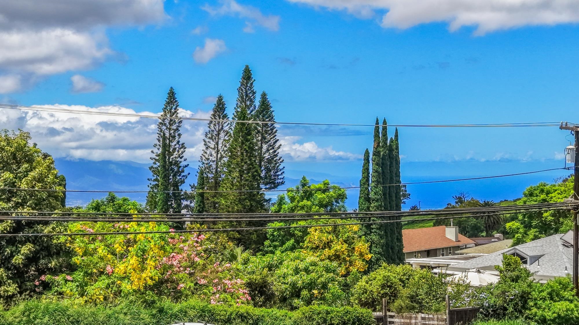 11  Akea Pl Lower Kula, Kula/Ulupalakua/Kanaio home - photo 19 of 34