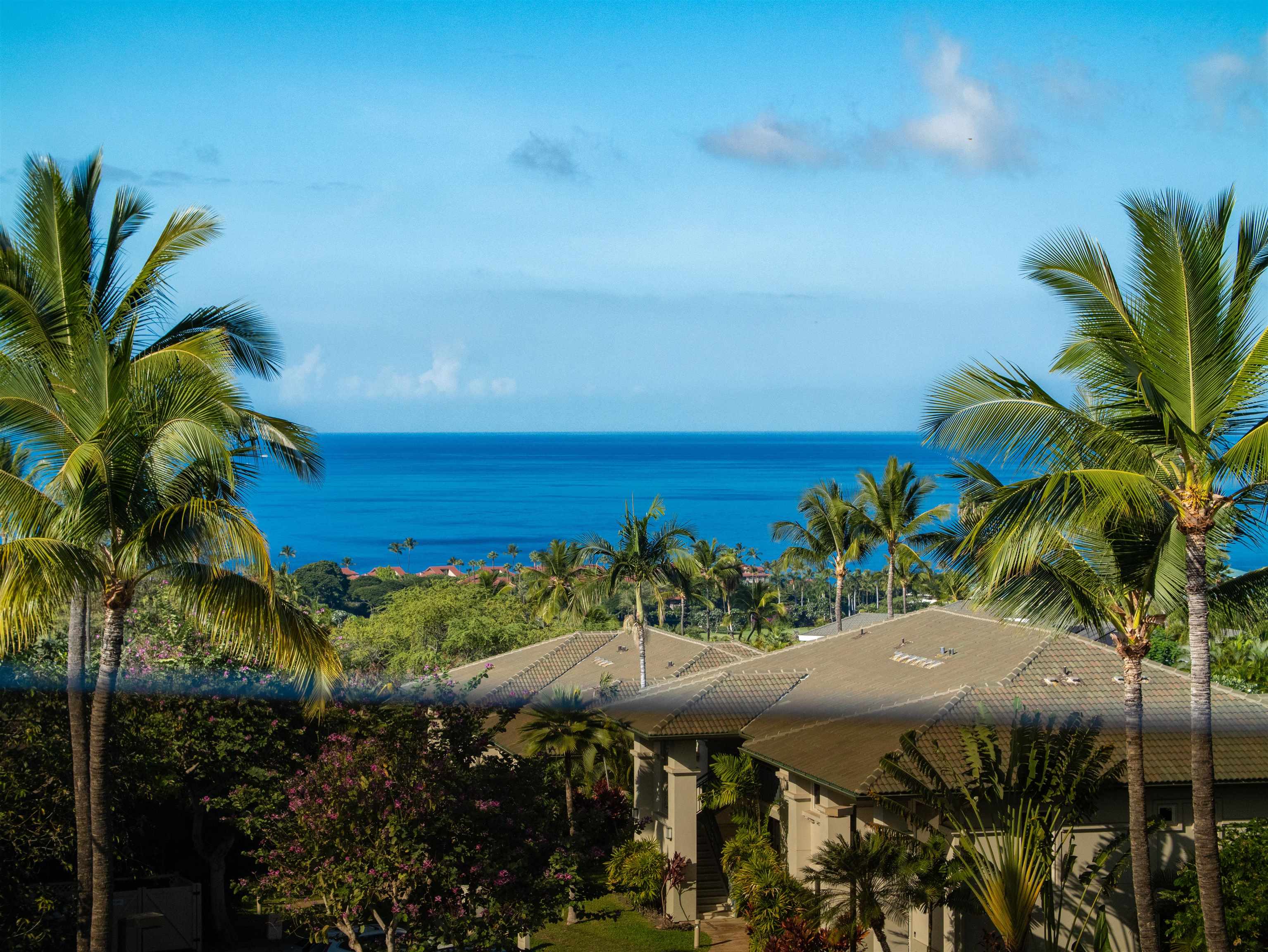 11  Halapa Pl , Wailea/Makena home - photo 41 of 50