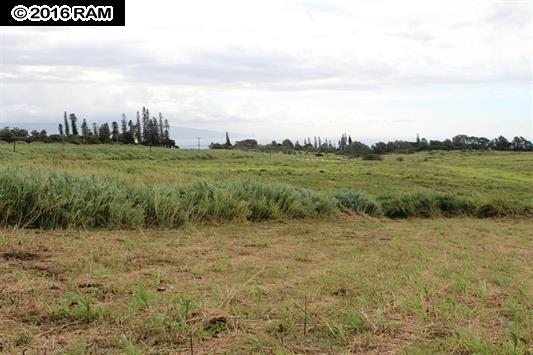 11 Kaluanui Rd LOT 1- Makawao, Hi vacant land for sale - photo 10 of 22