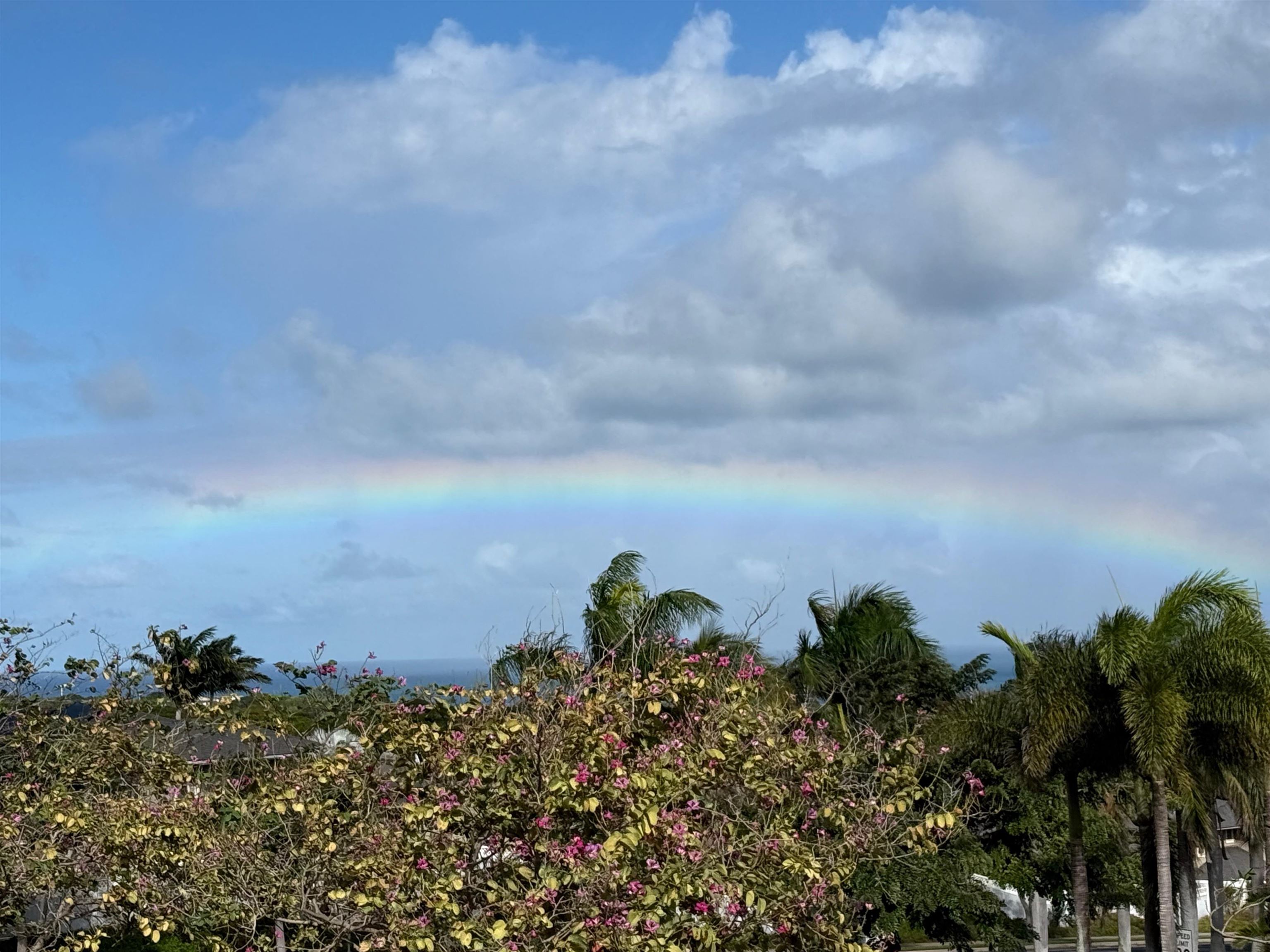 Iliahi at Kehalani condo # 2C, Wailuku, Hawaii - photo 12 of 16