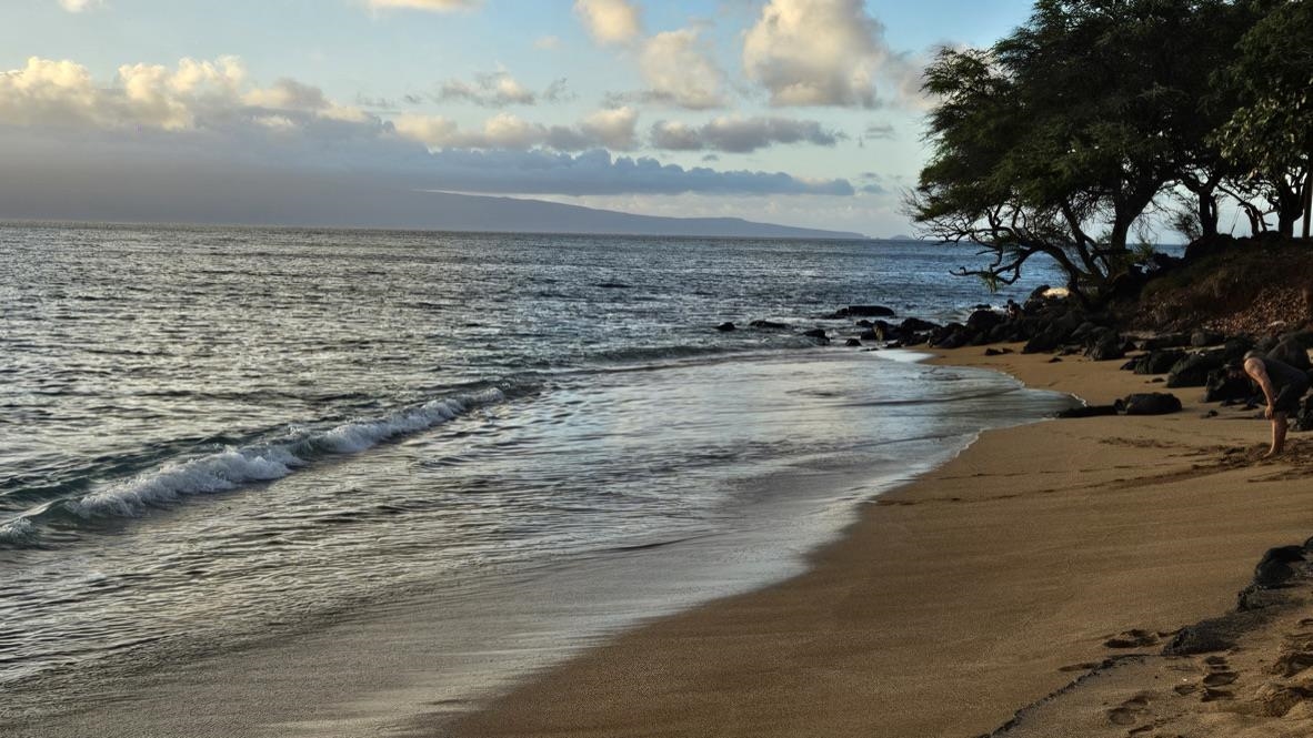 11  Piina Pl , Napili/Kahana/Honokowai home - photo 18 of 27