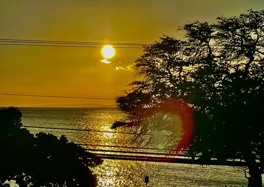 11  Piina Pl , Napili/Kahana/Honokowai home - photo 27 of 27