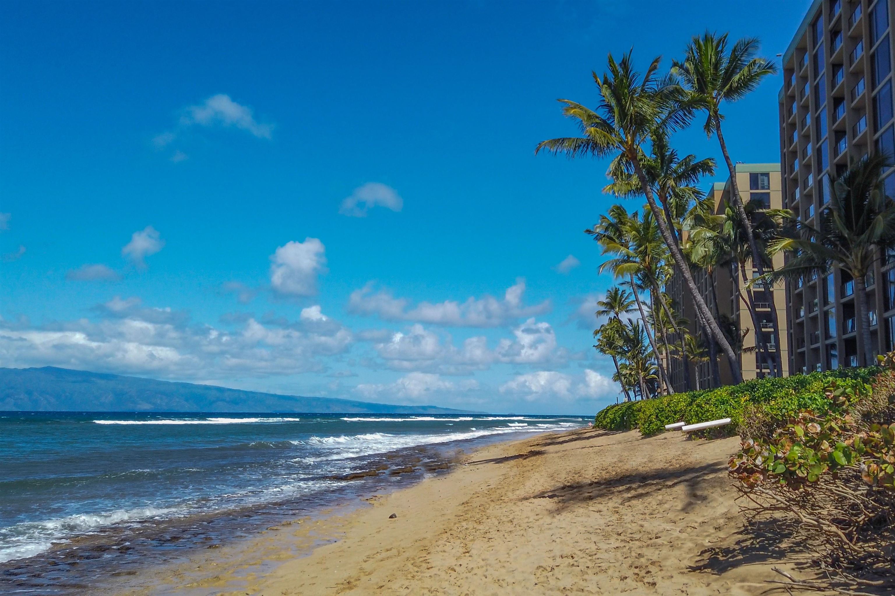 Mahana condo # 1006, Lahaina, Hawaii - photo 42 of 48