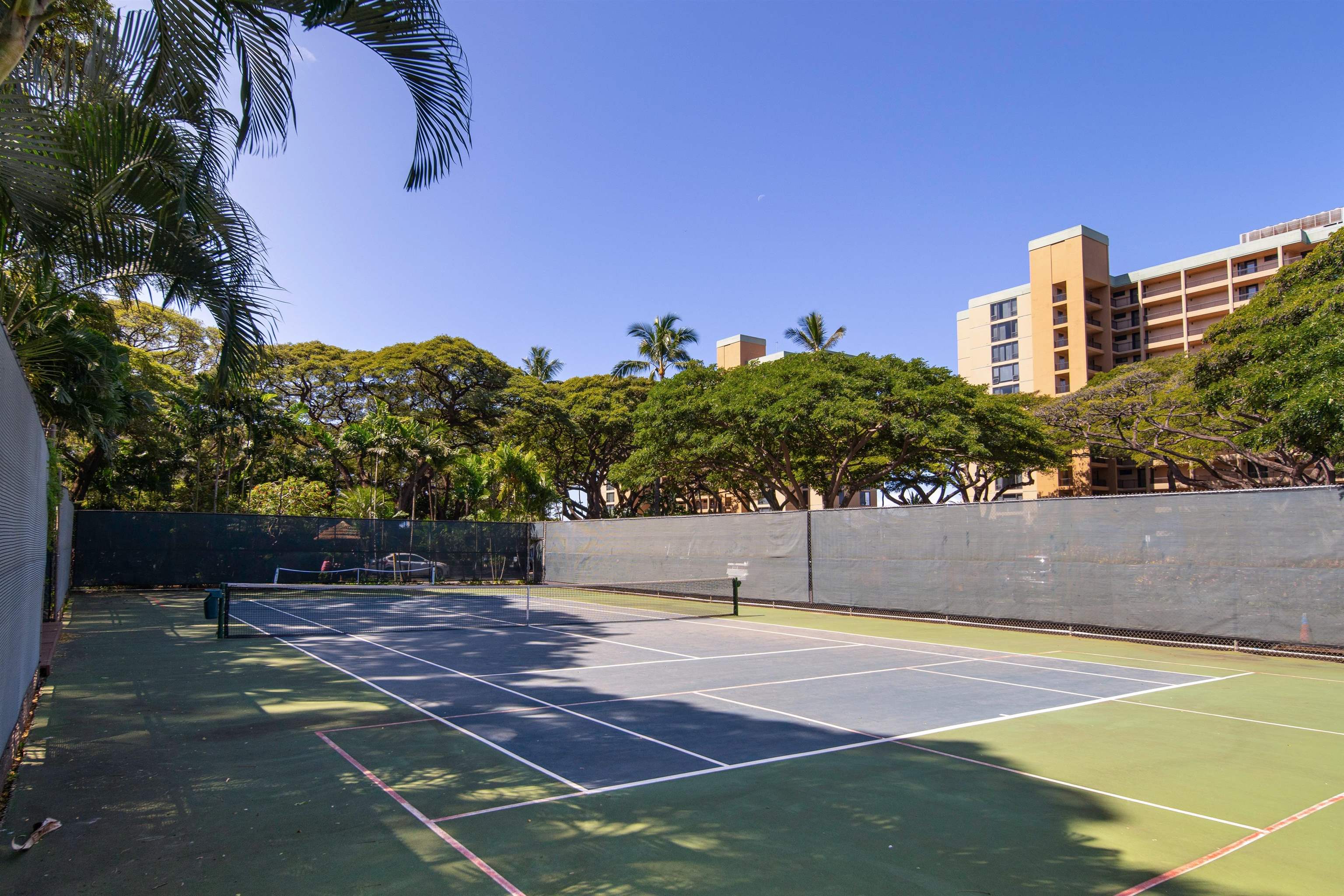 Mahana condo # 1006, Lahaina, Hawaii - photo 46 of 48