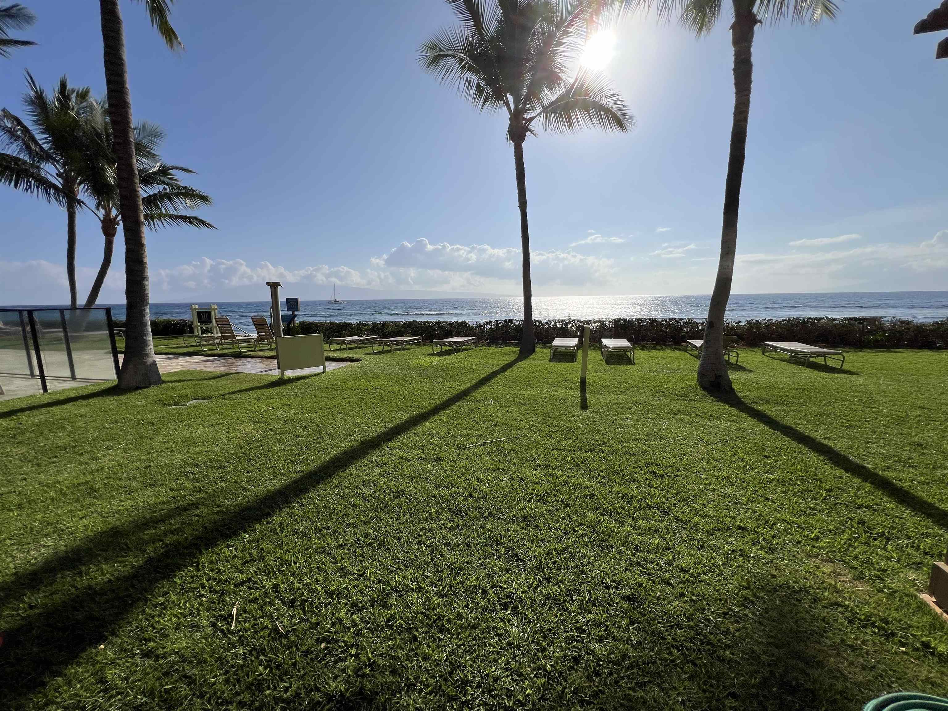 Mahana condo # 101, Lahaina, Hawaii - photo 37 of 50