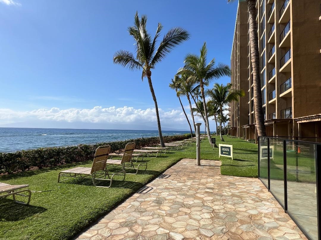 Mahana condo # 101, Lahaina, Hawaii - photo 39 of 50