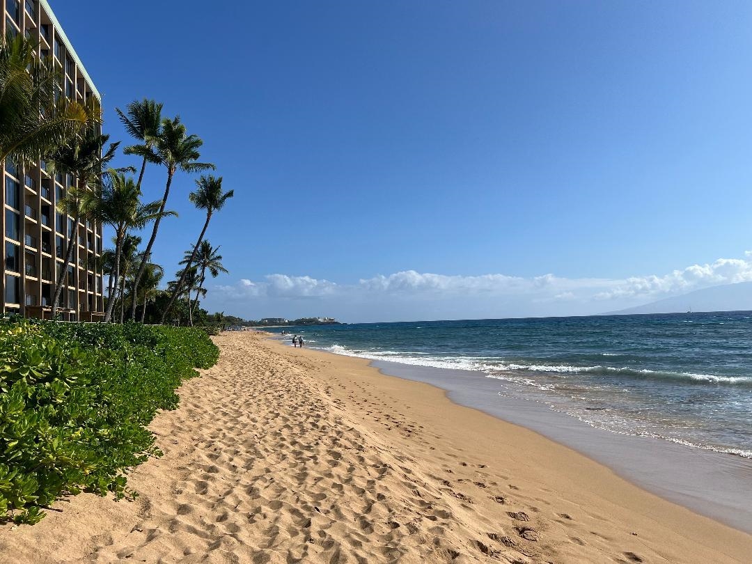 Mahana condo # 101, Lahaina, Hawaii - photo 49 of 50