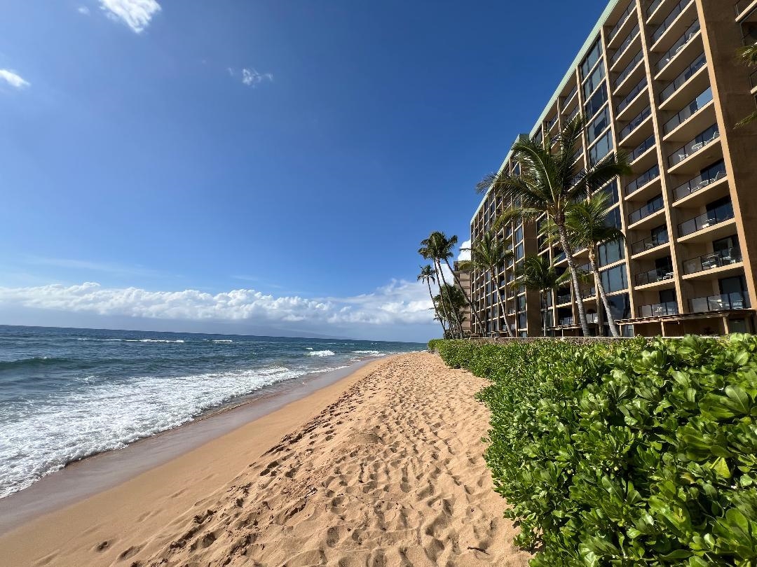 Mahana condo # 101, Lahaina, Hawaii - photo 50 of 50