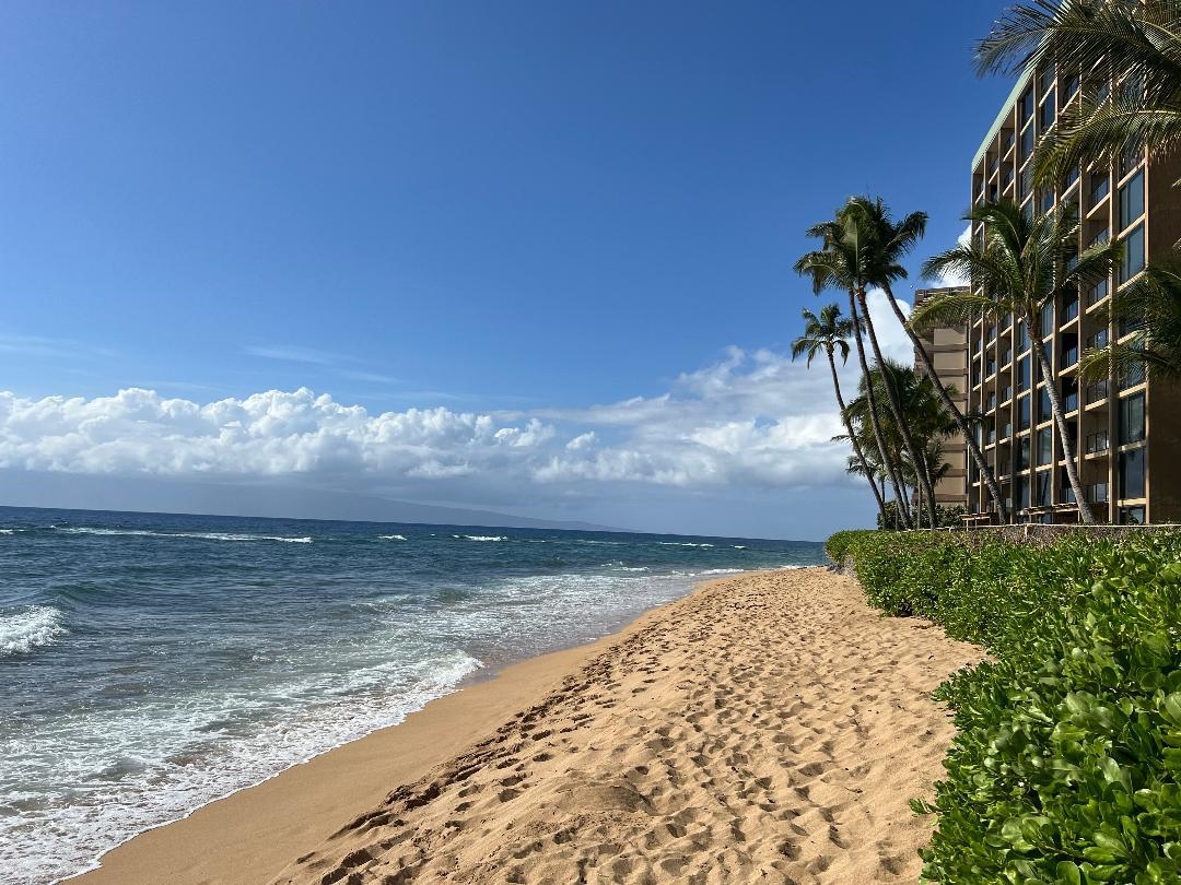 Mahana condo # 101, Lahaina, Hawaii - photo 6 of 50