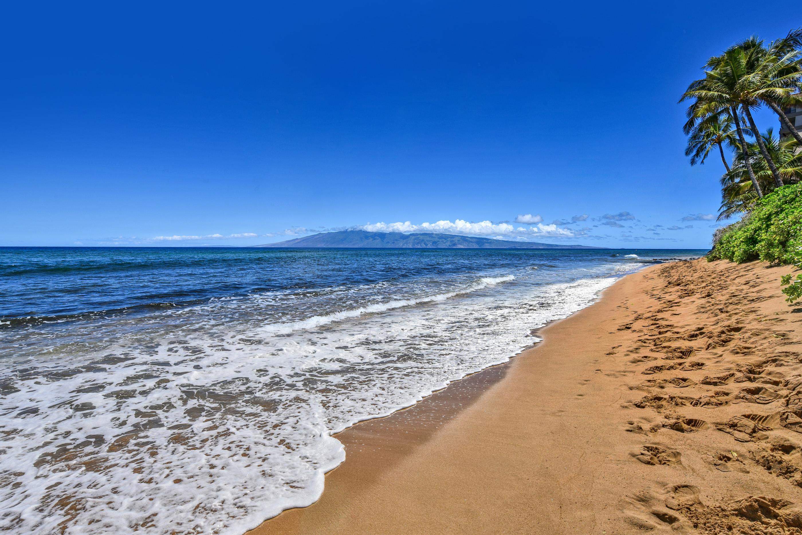 Mahana condo # 102, Lahaina, Hawaii - photo 29 of 30