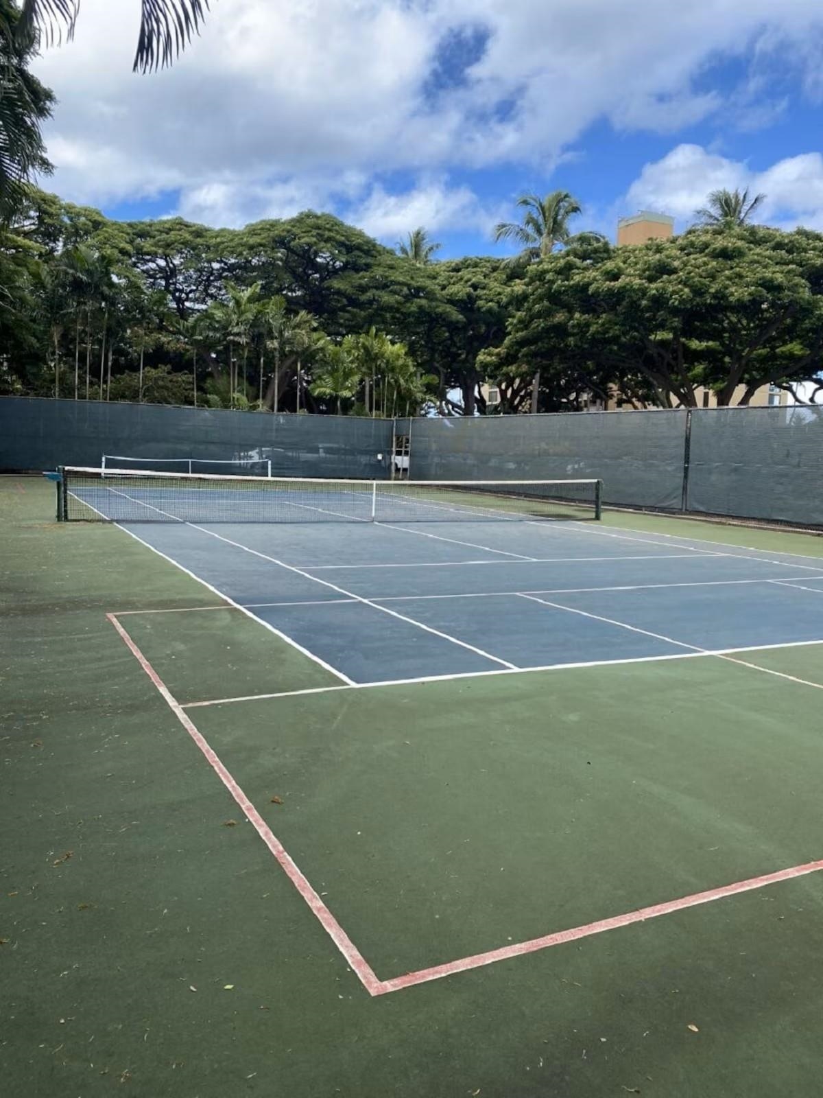 Mahana condo # 102, Lahaina, Hawaii - photo 29 of 29