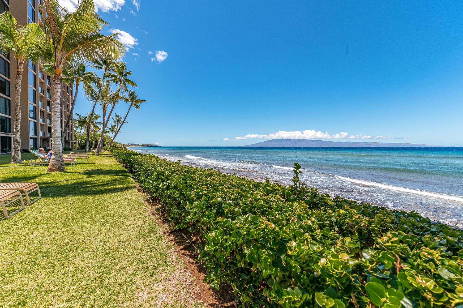 Mahana condo # 108, Lahaina, Hawaii - photo 33 of 35