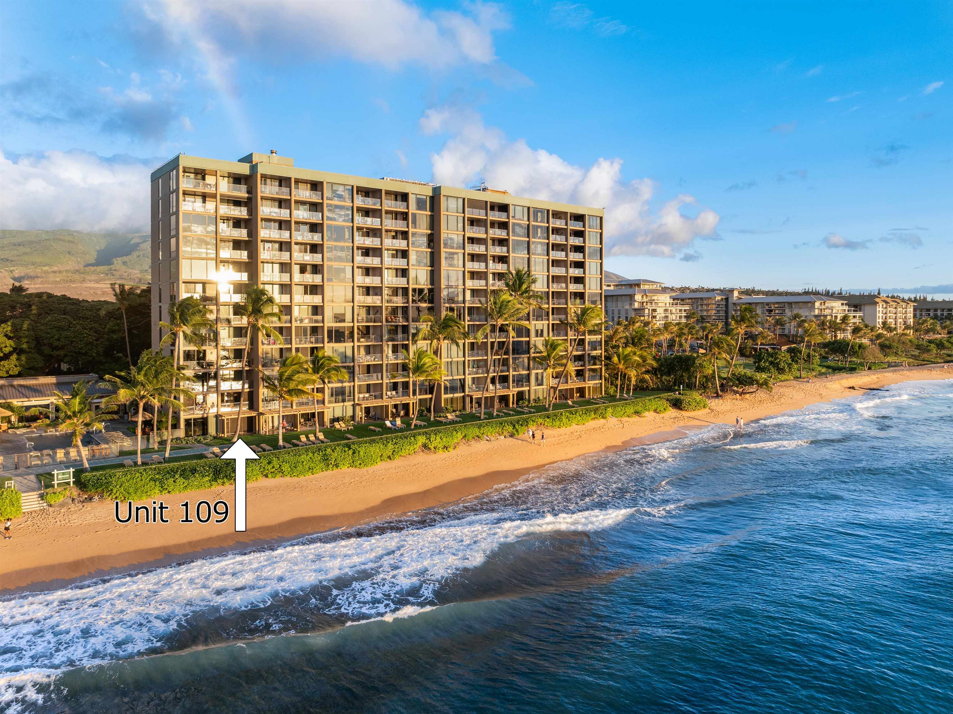 Mahana condo # 109, Lahaina, Hawaii - photo 37 of 43