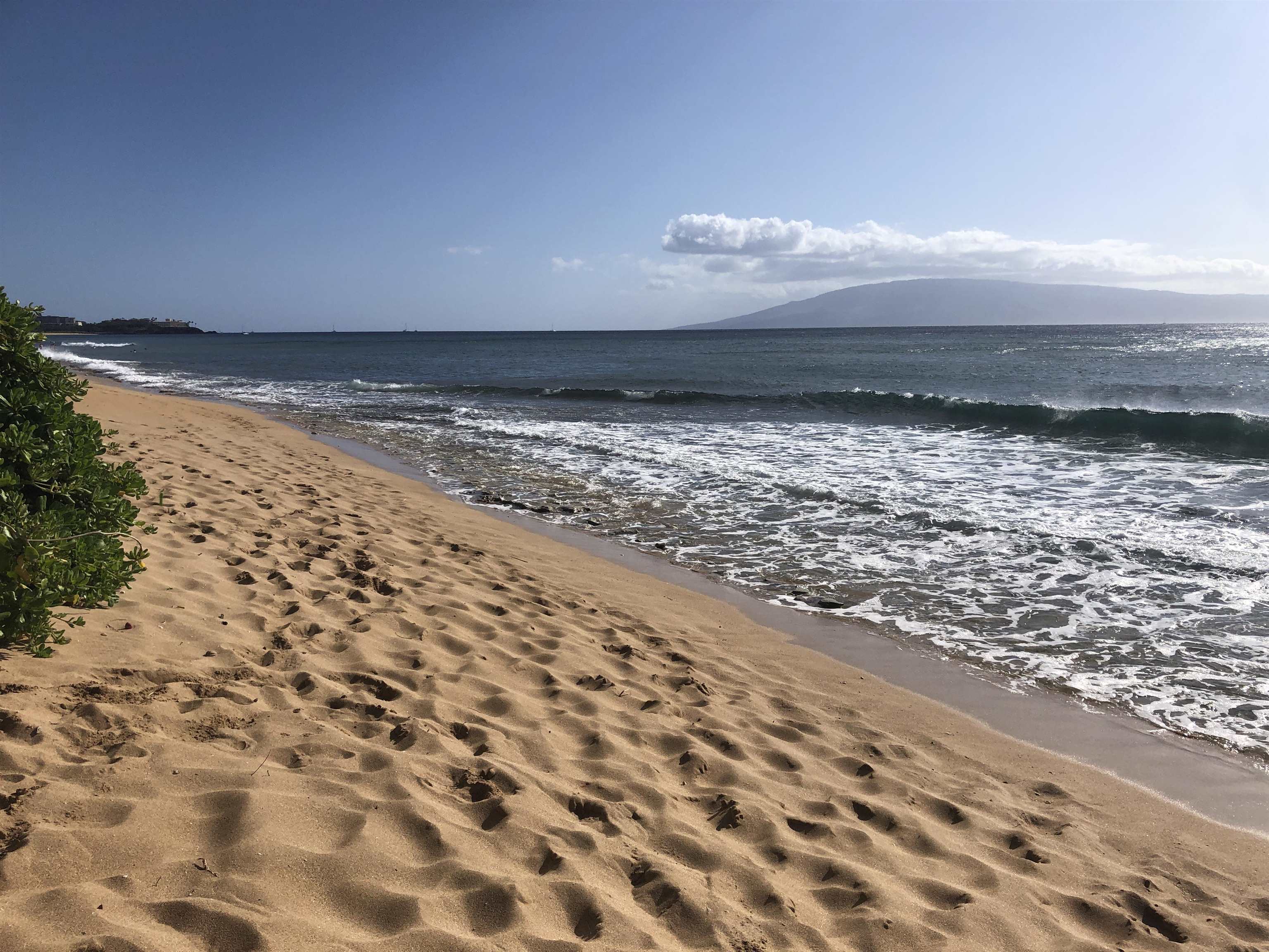 Mahana condo # 119, Lahaina, Hawaii - photo 2 of 30