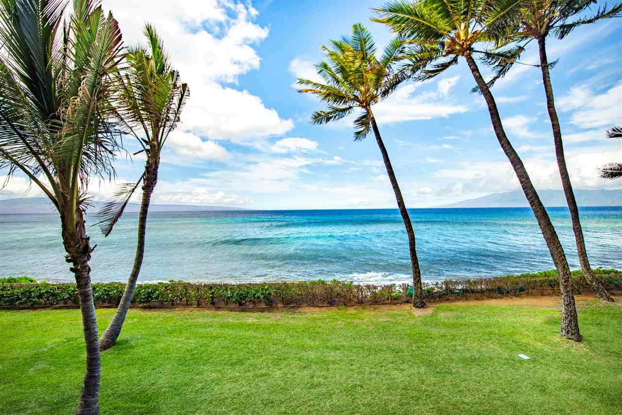 Mahana condo # 204, Lahaina, Hawaii - photo 2 of 30