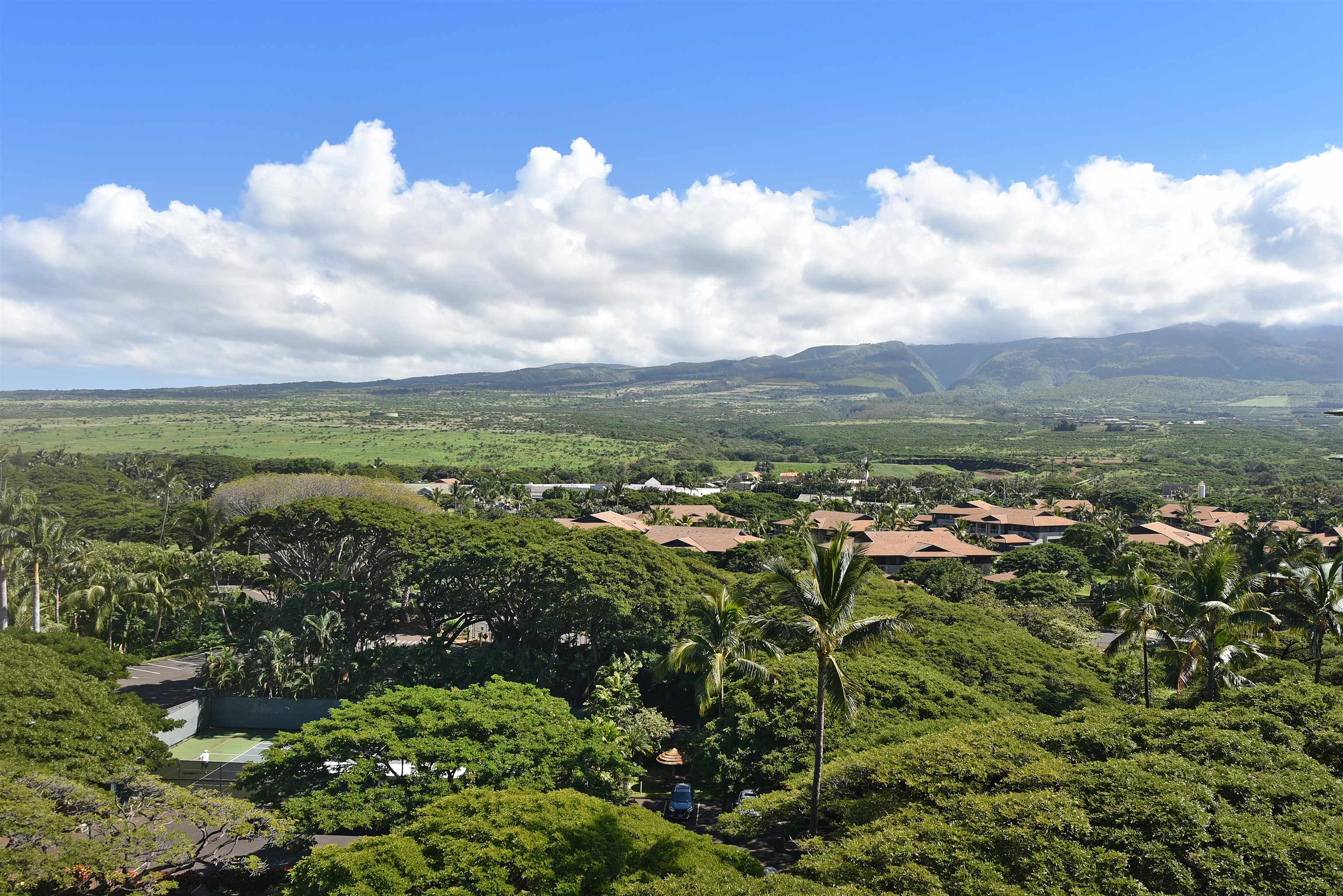 Mahana condo # 211, Lahaina, Hawaii - photo 18 of 46