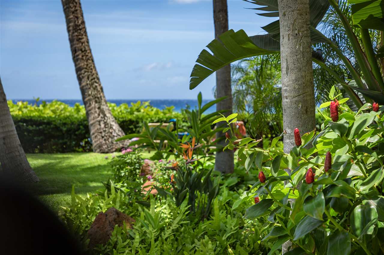 Mahana condo # 214, Lahaina, Hawaii - photo 24 of 30