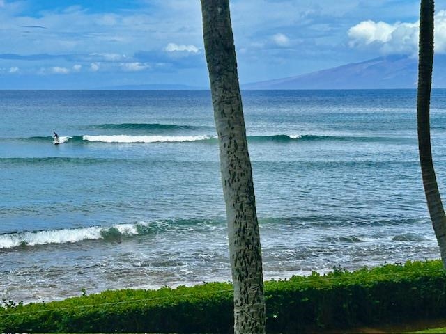 Mahana condo # 215, Lahaina, Hawaii - photo 28 of 30