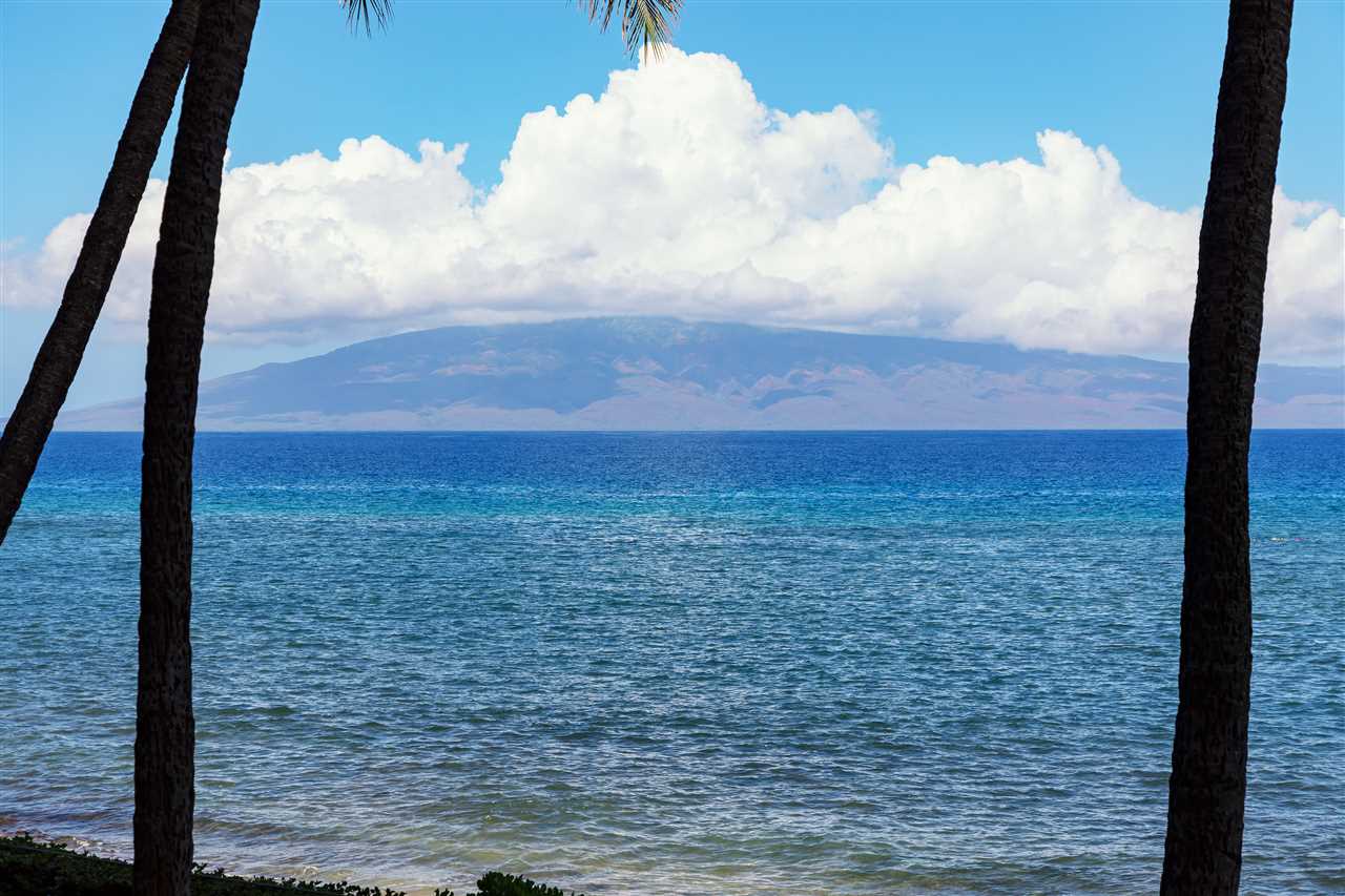 Mahana condo # 215, Lahaina, Hawaii - photo 30 of 30