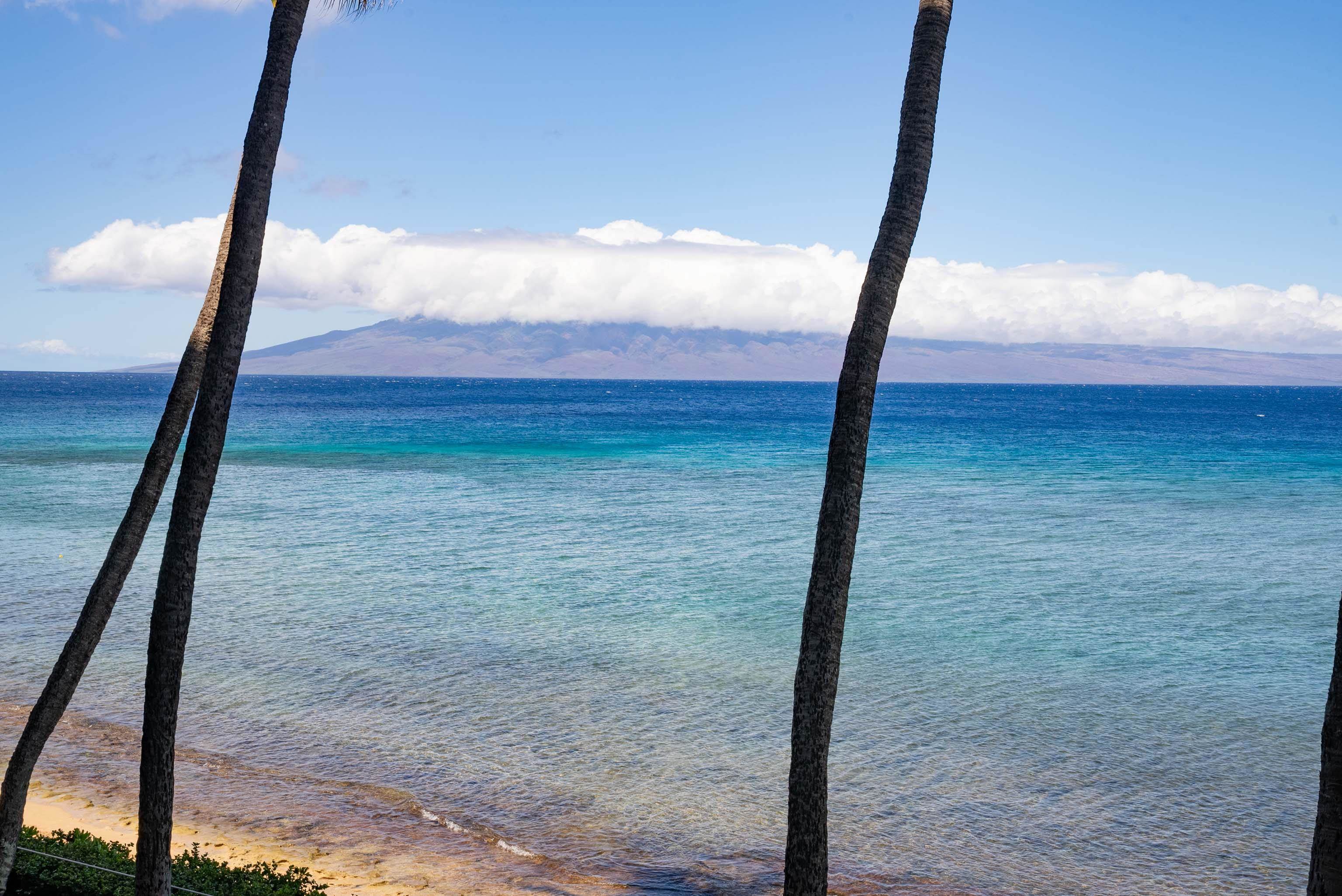 Mahana condo # 315, Lahaina, Hawaii - photo 21 of 36