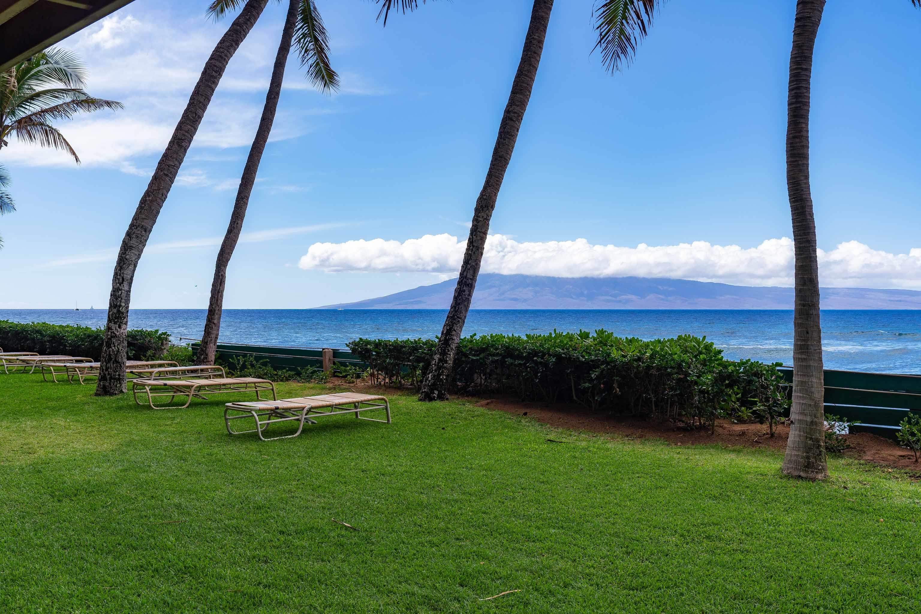 Mahana condo # 315, Lahaina, Hawaii - photo 23 of 36