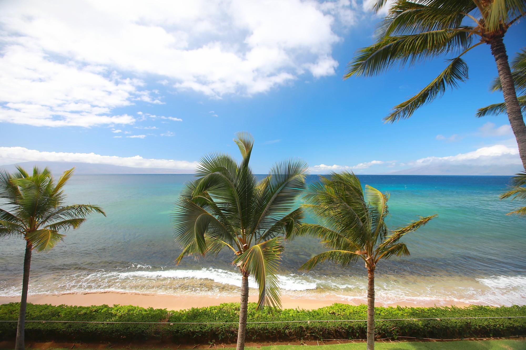 Mahana condo # 412, Lahaina, Hawaii - photo 11 of 34