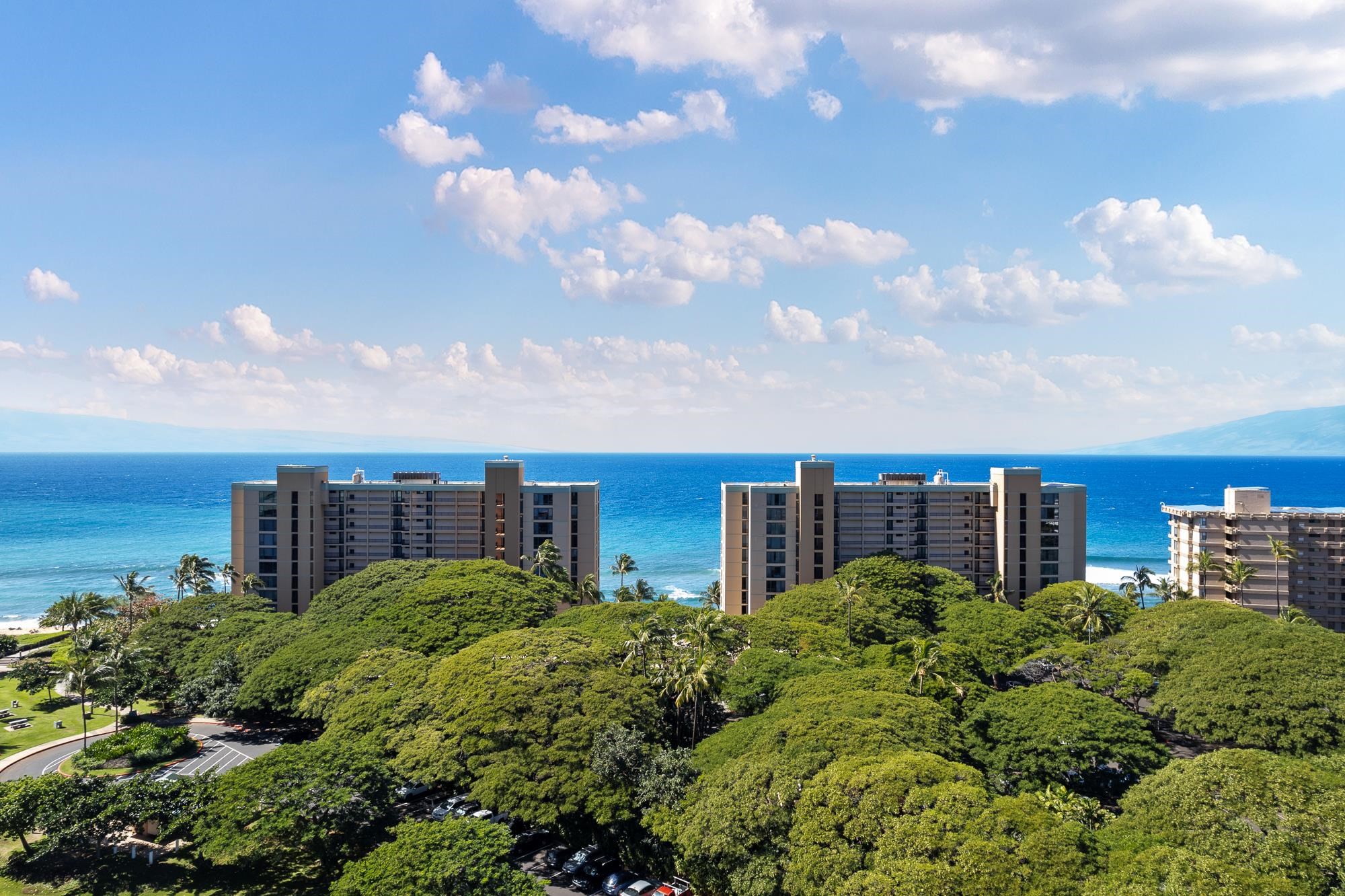 Mahana condo # 501, Lahaina, Hawaii - photo 34 of 50