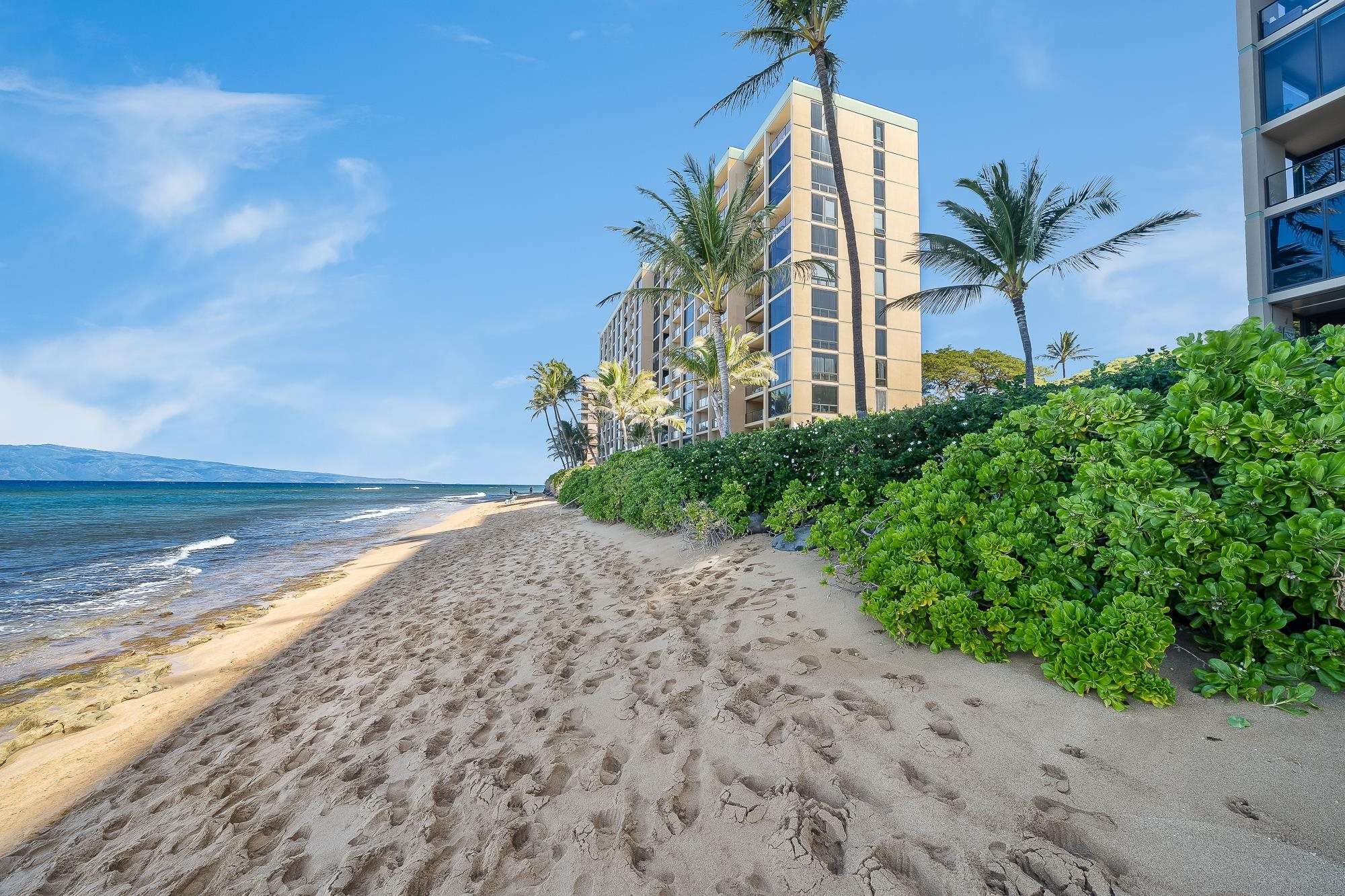 Mahana condo # 501, Lahaina, Hawaii - photo 40 of 50