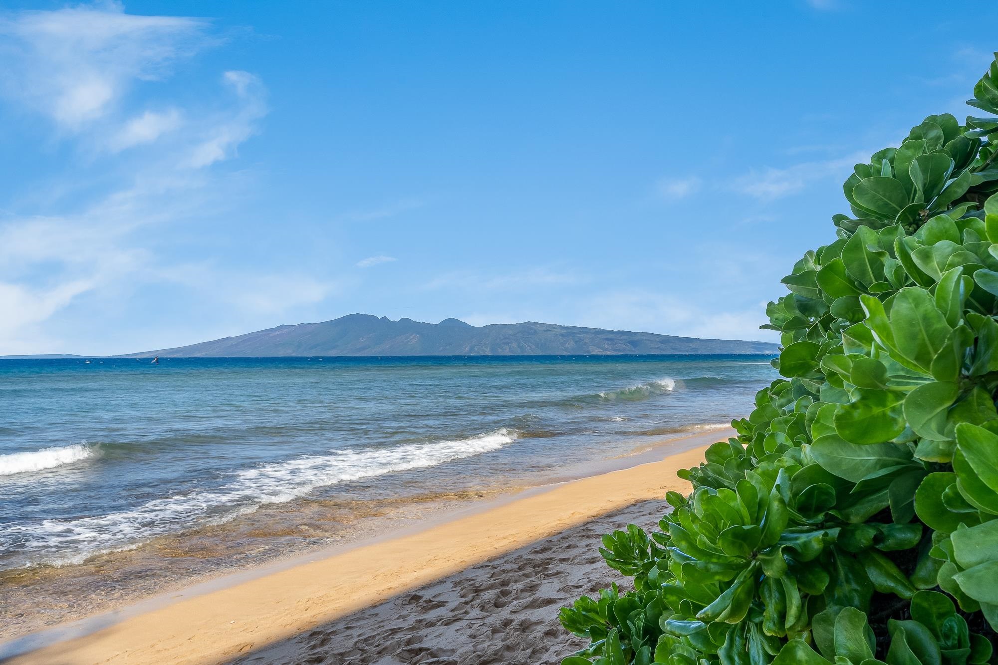 Mahana condo # 501, Lahaina, Hawaii - photo 41 of 50