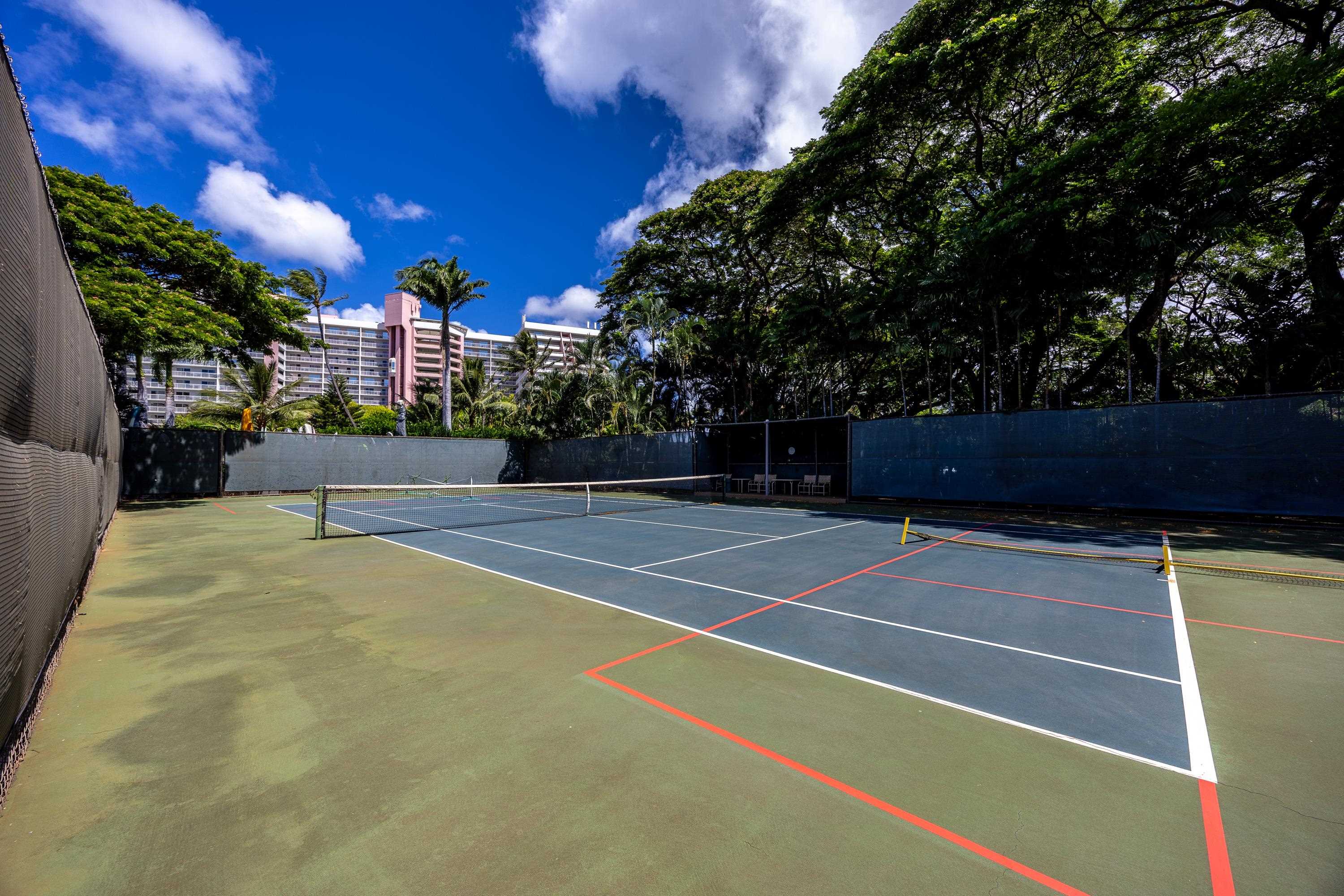 Mahana condo # 502, Lahaina, Hawaii - photo 22 of 27