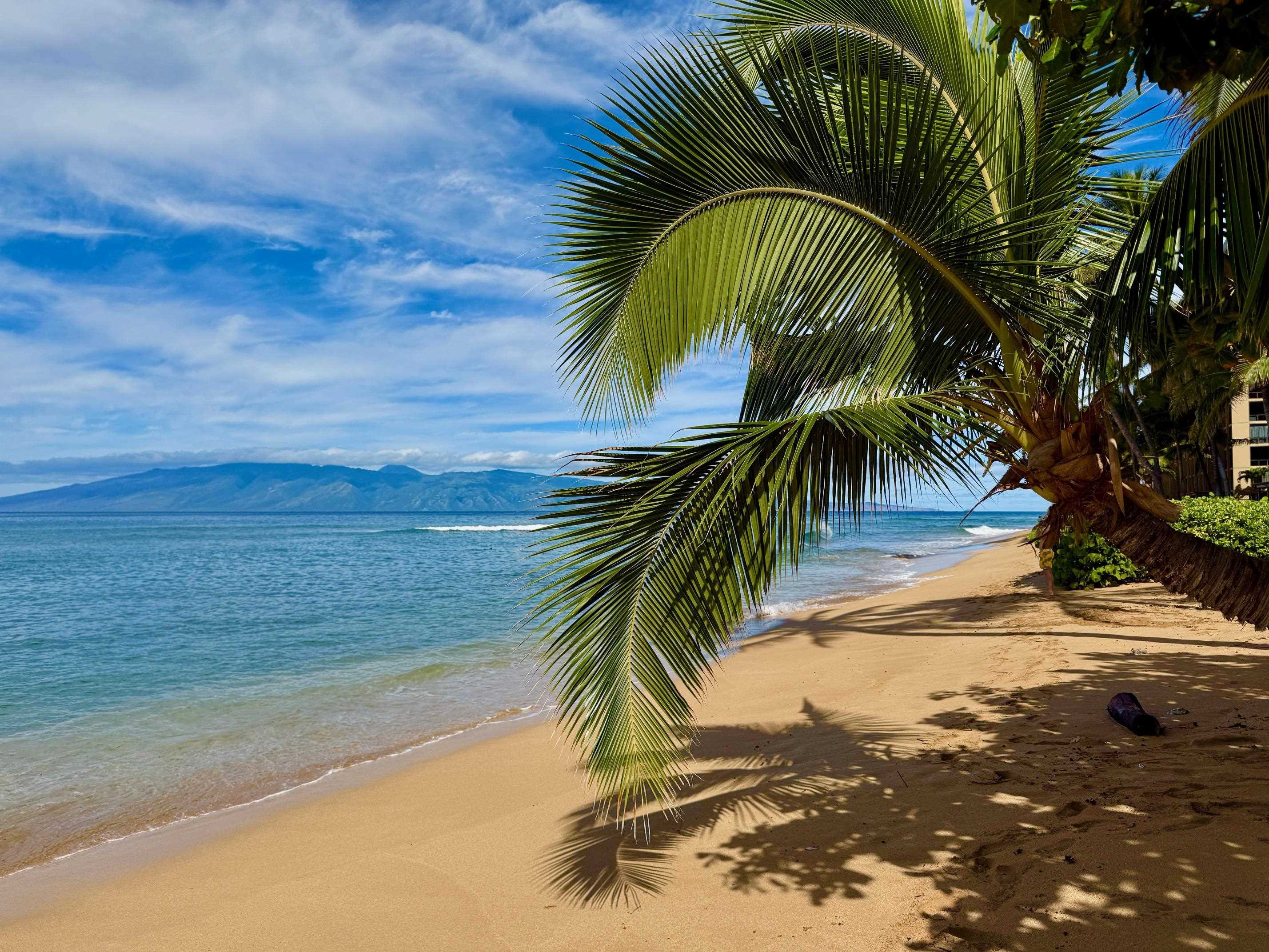 Mahana condo # 508, Lahaina, Hawaii - photo 36 of 43