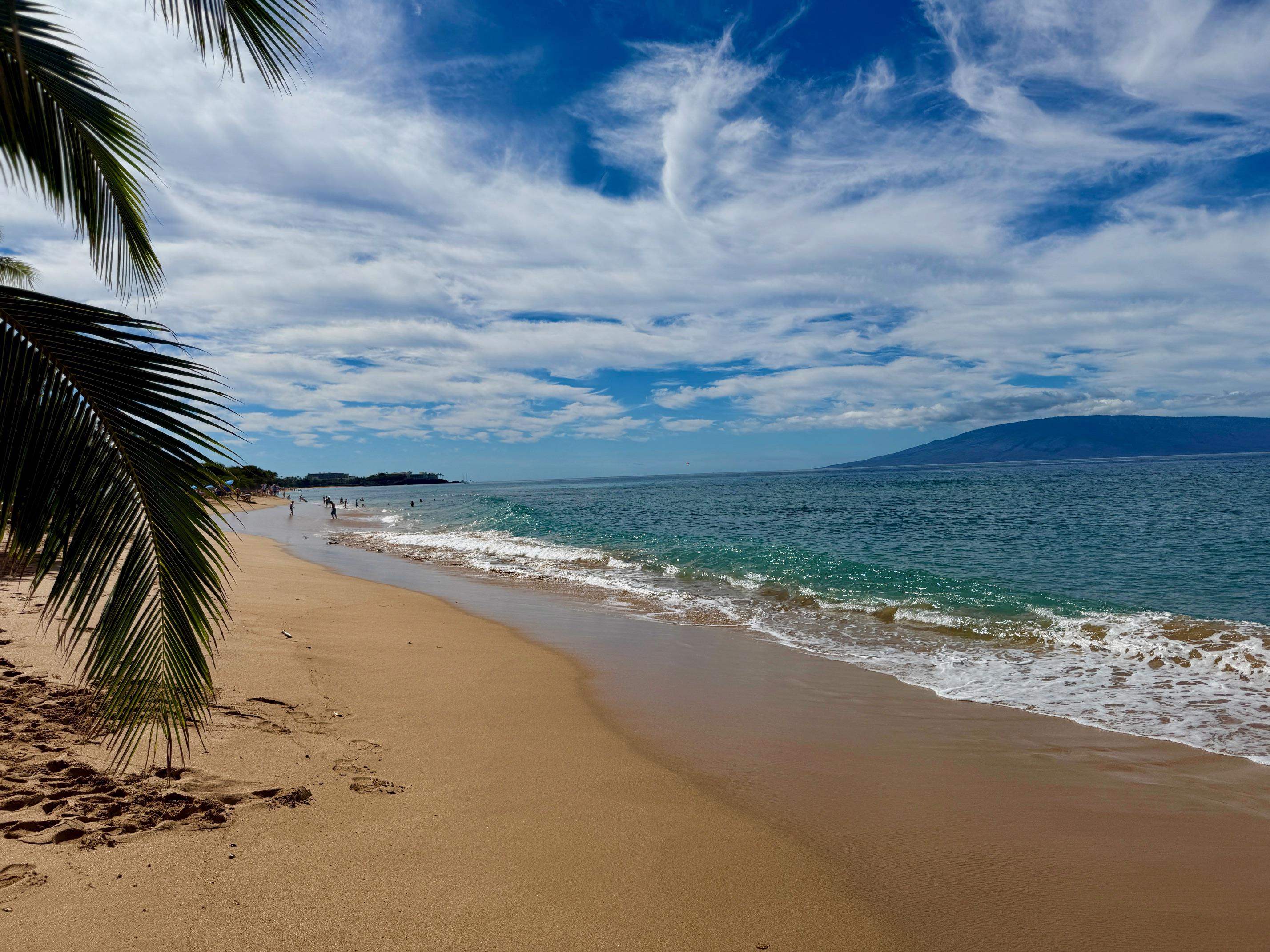Mahana condo # 508, Lahaina, Hawaii - photo 38 of 43