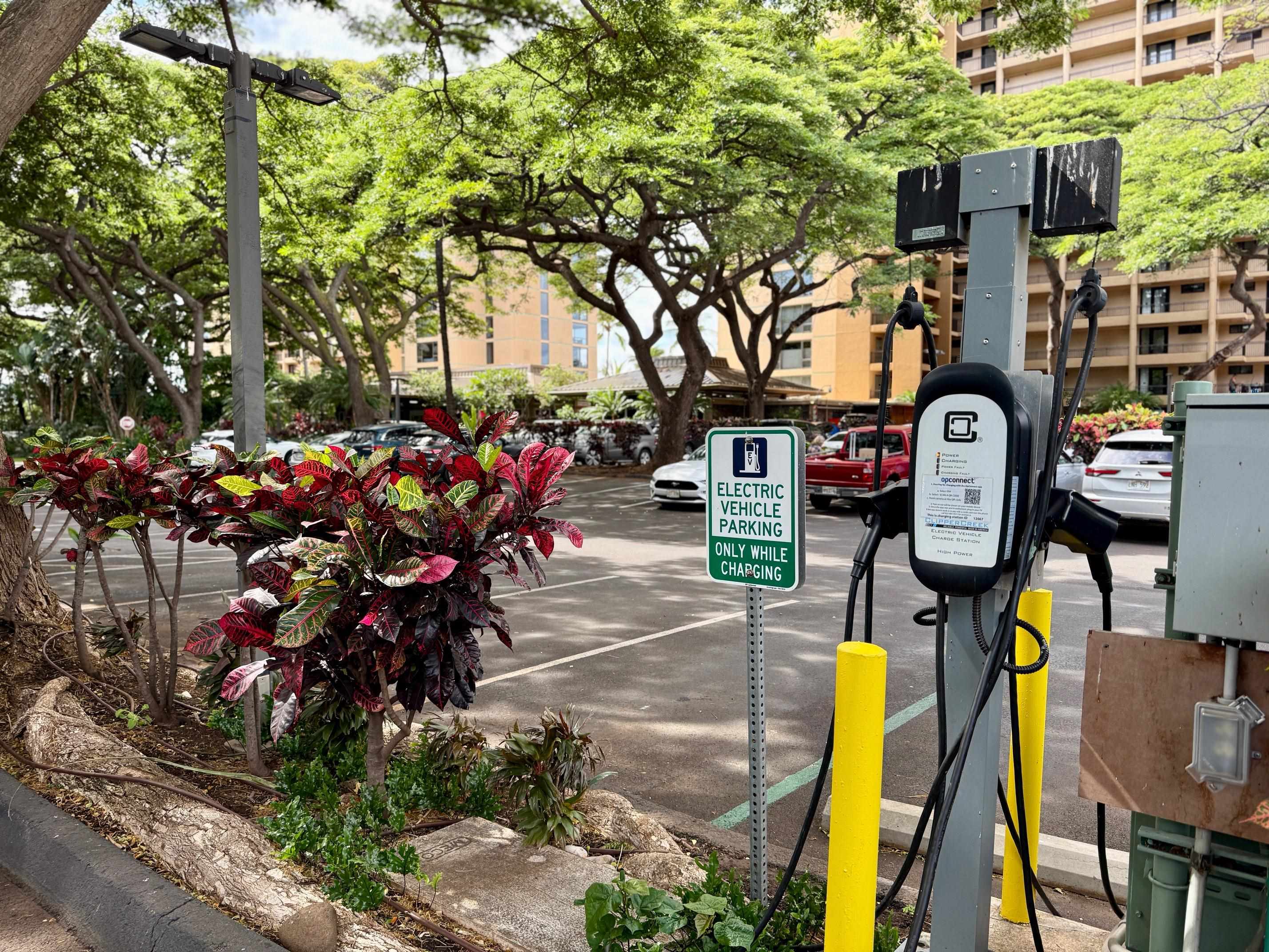 Mahana condo # 508, Lahaina, Hawaii - photo 43 of 43