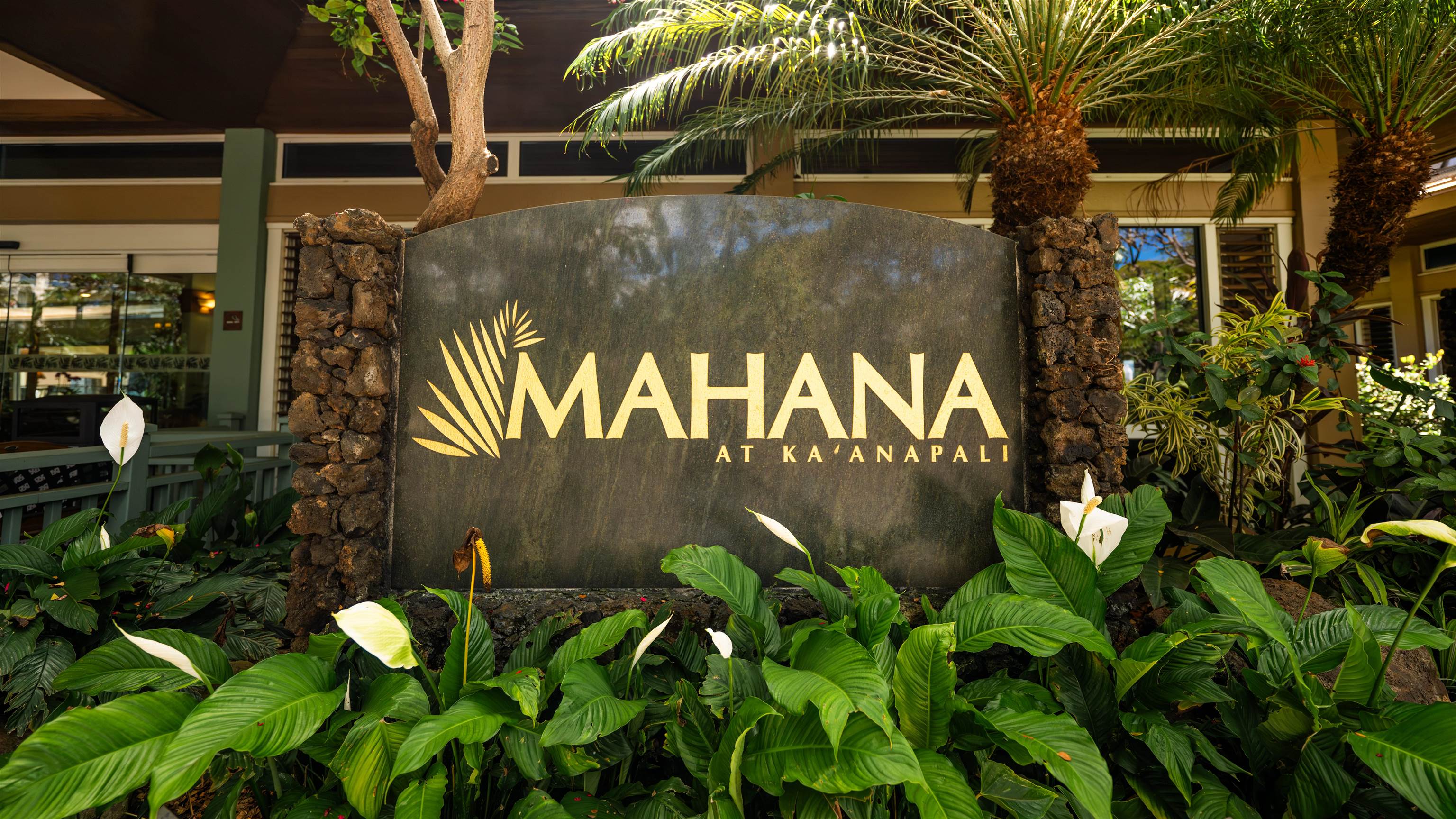 Mahana condo # 513, Lahaina, Hawaii - photo 28 of 29