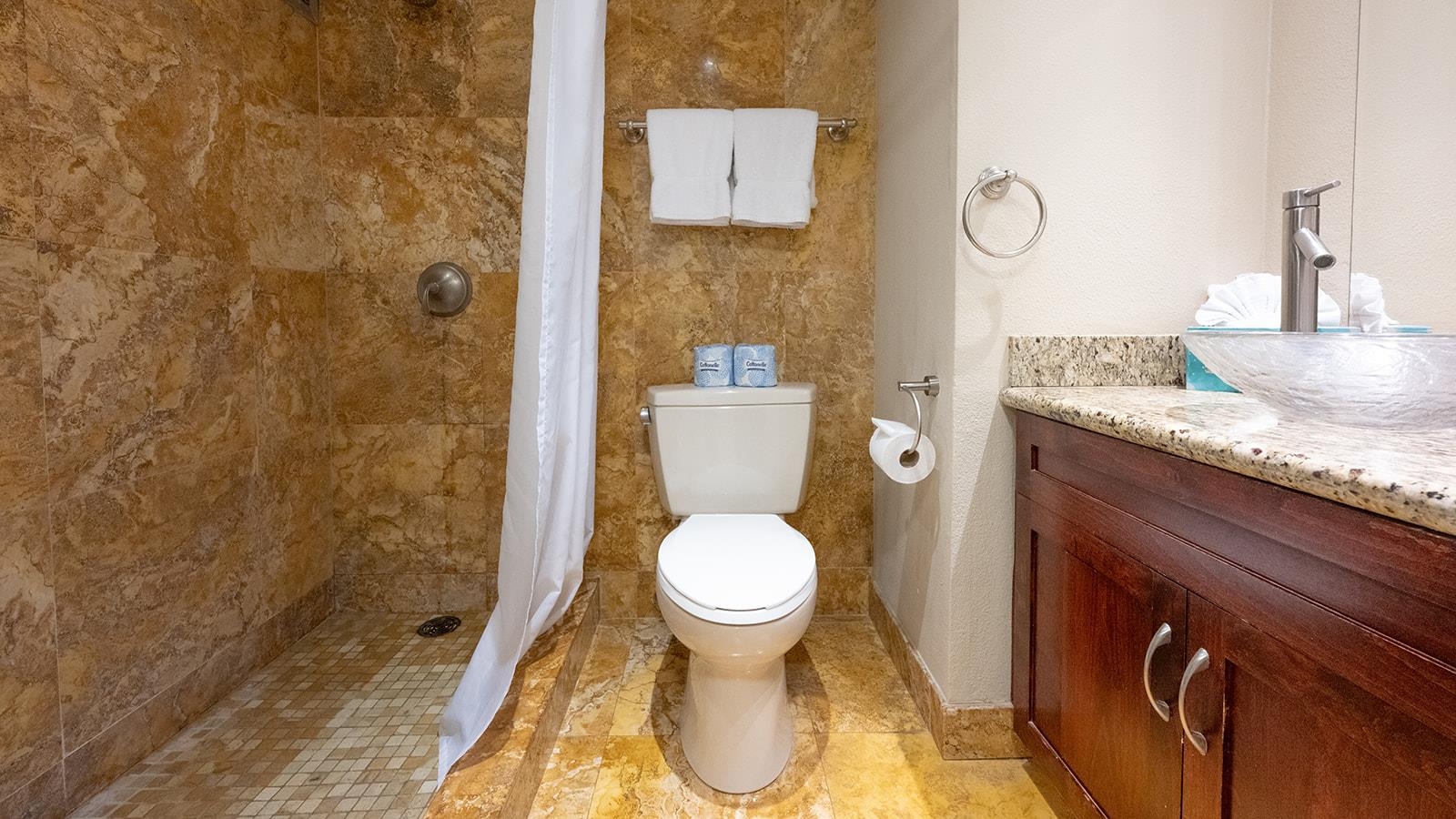 Mahana condo # 513, Lahaina, Hawaii - photo 20 of 29