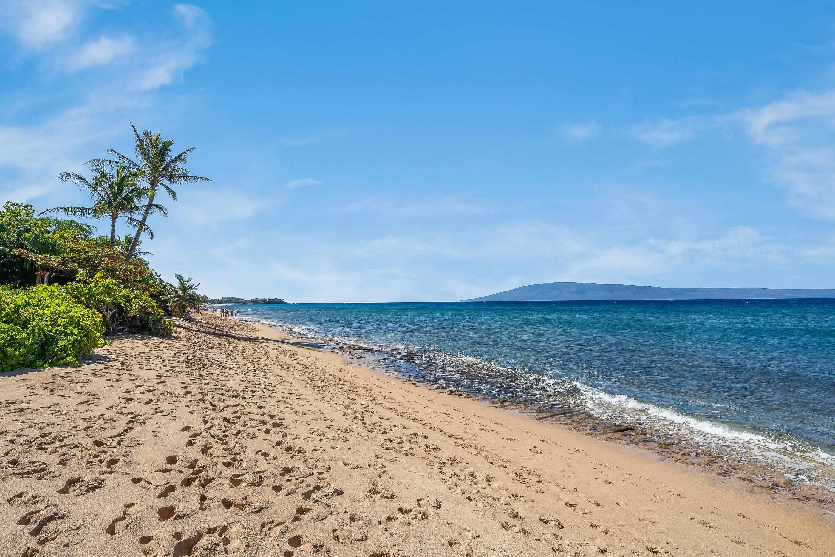 Mahana condo # 711, Lahaina, Hawaii - photo 43 of 50