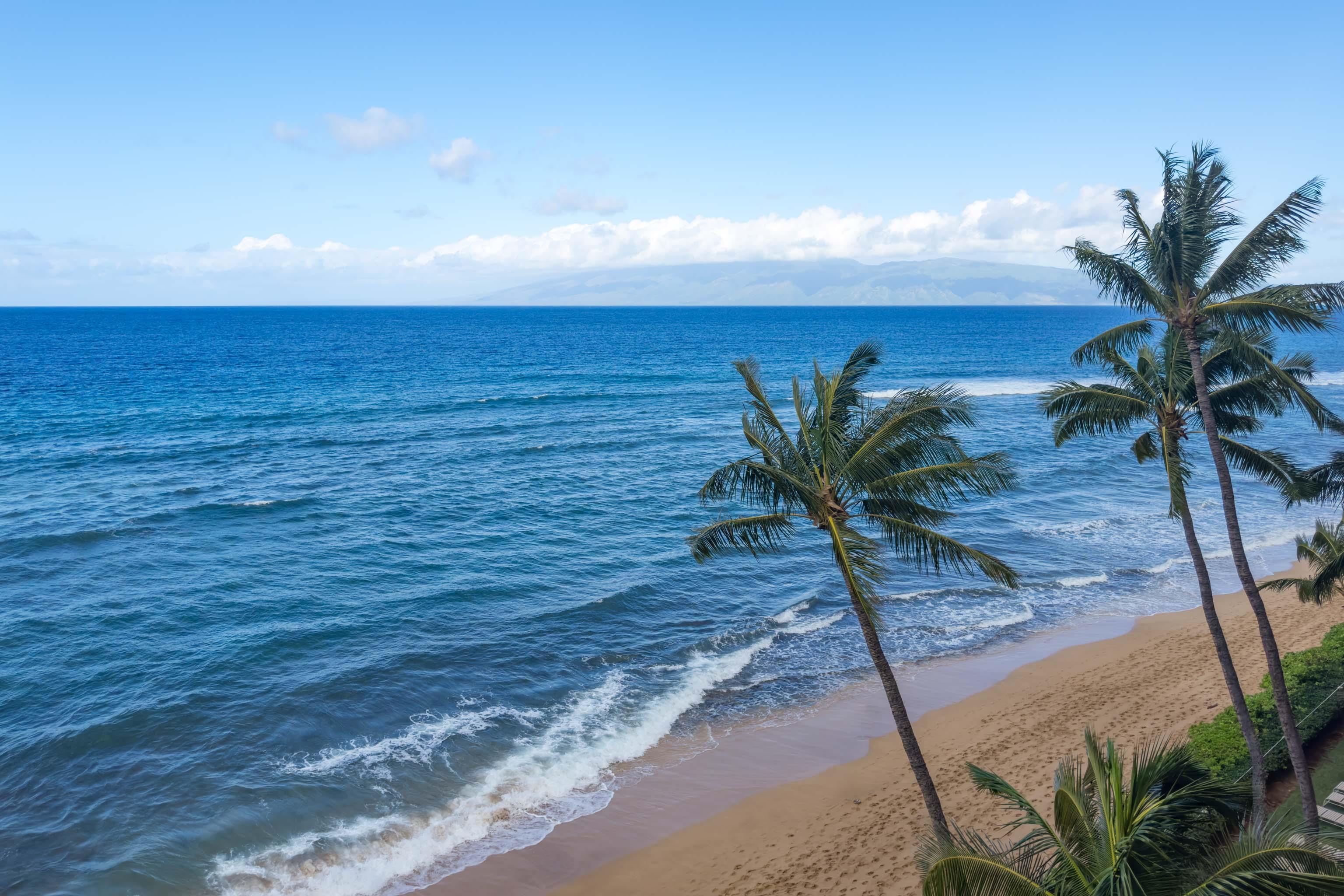 Mahana condo # 719, Lahaina, Hawaii - photo 43 of 46