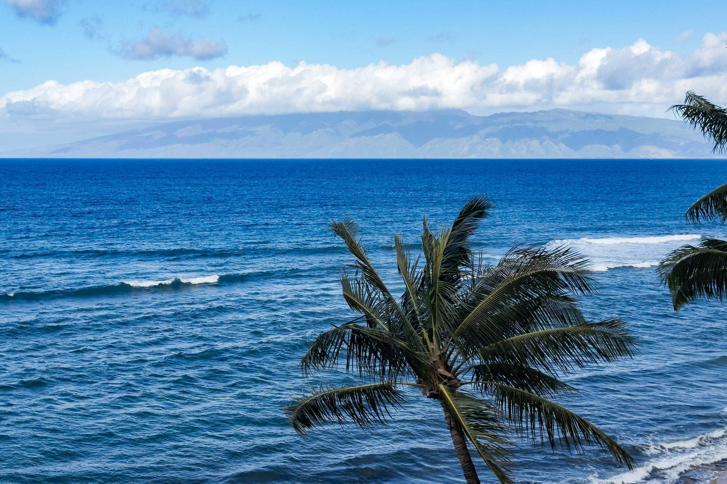 Mahana condo # 719, Lahaina, Hawaii - photo 44 of 46